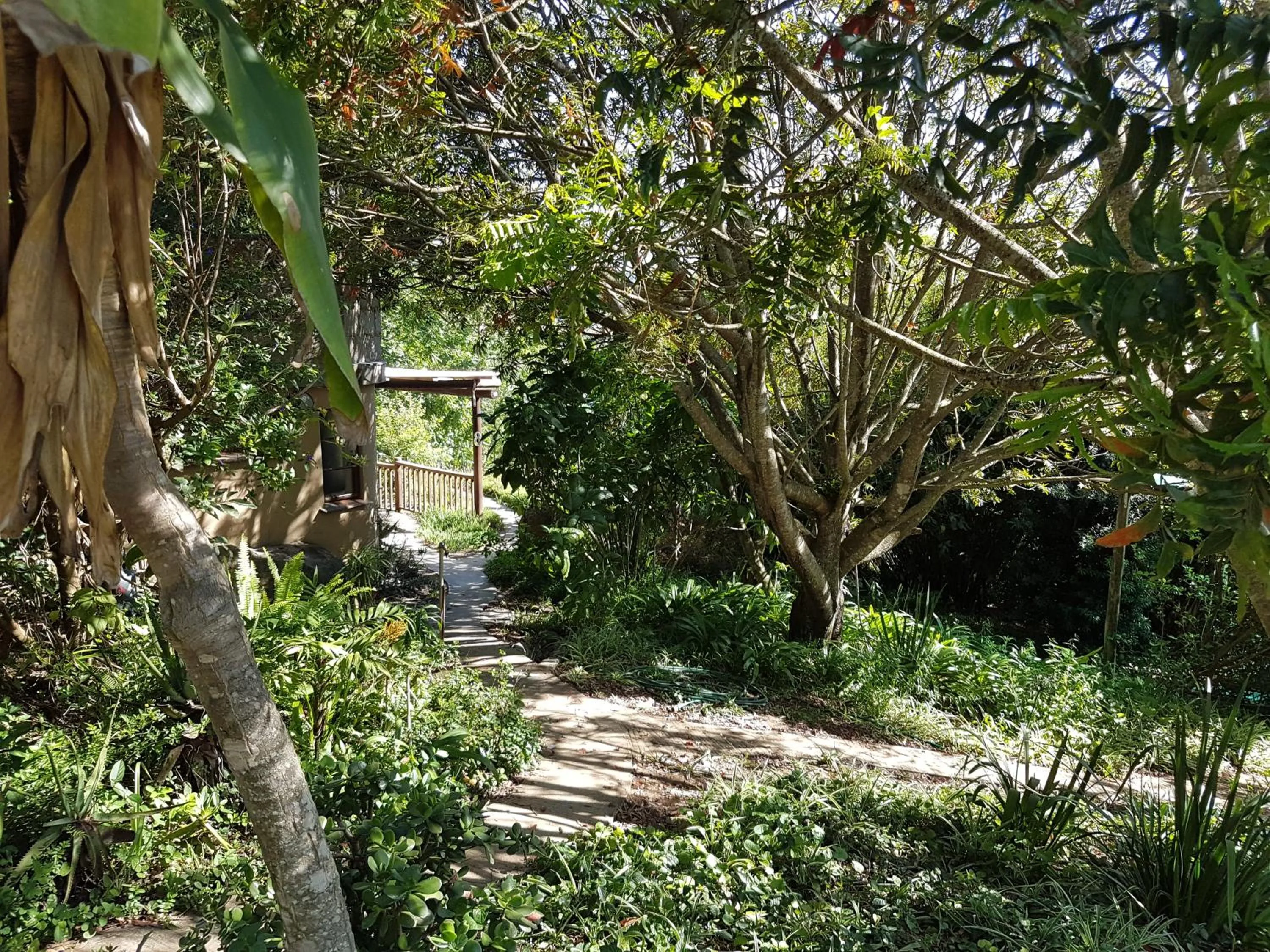Garden in Veki's Village Cottages