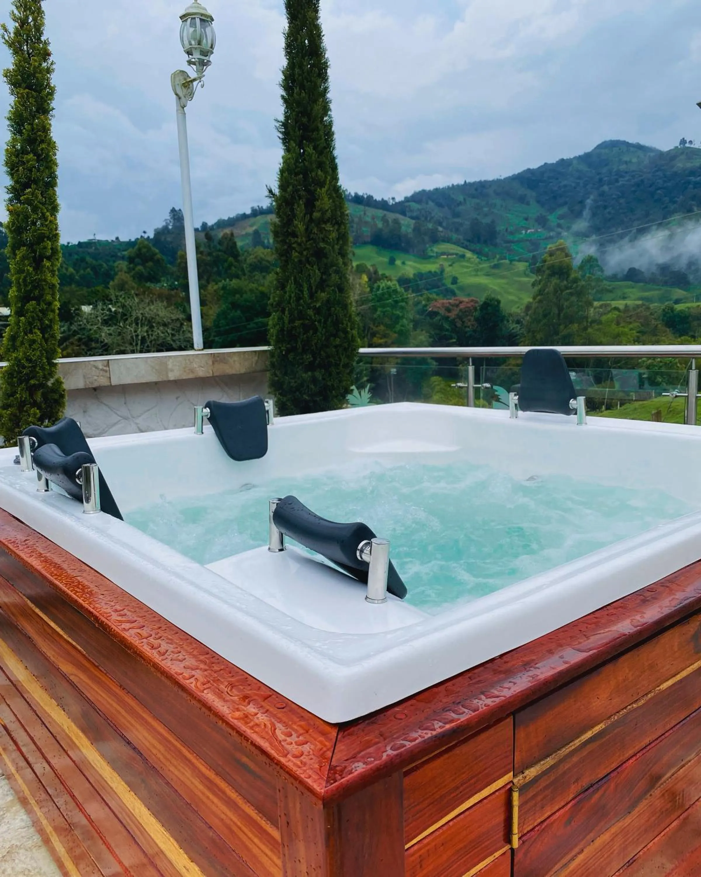 Natural landscape in Hotel Boutique Palmas de Salento