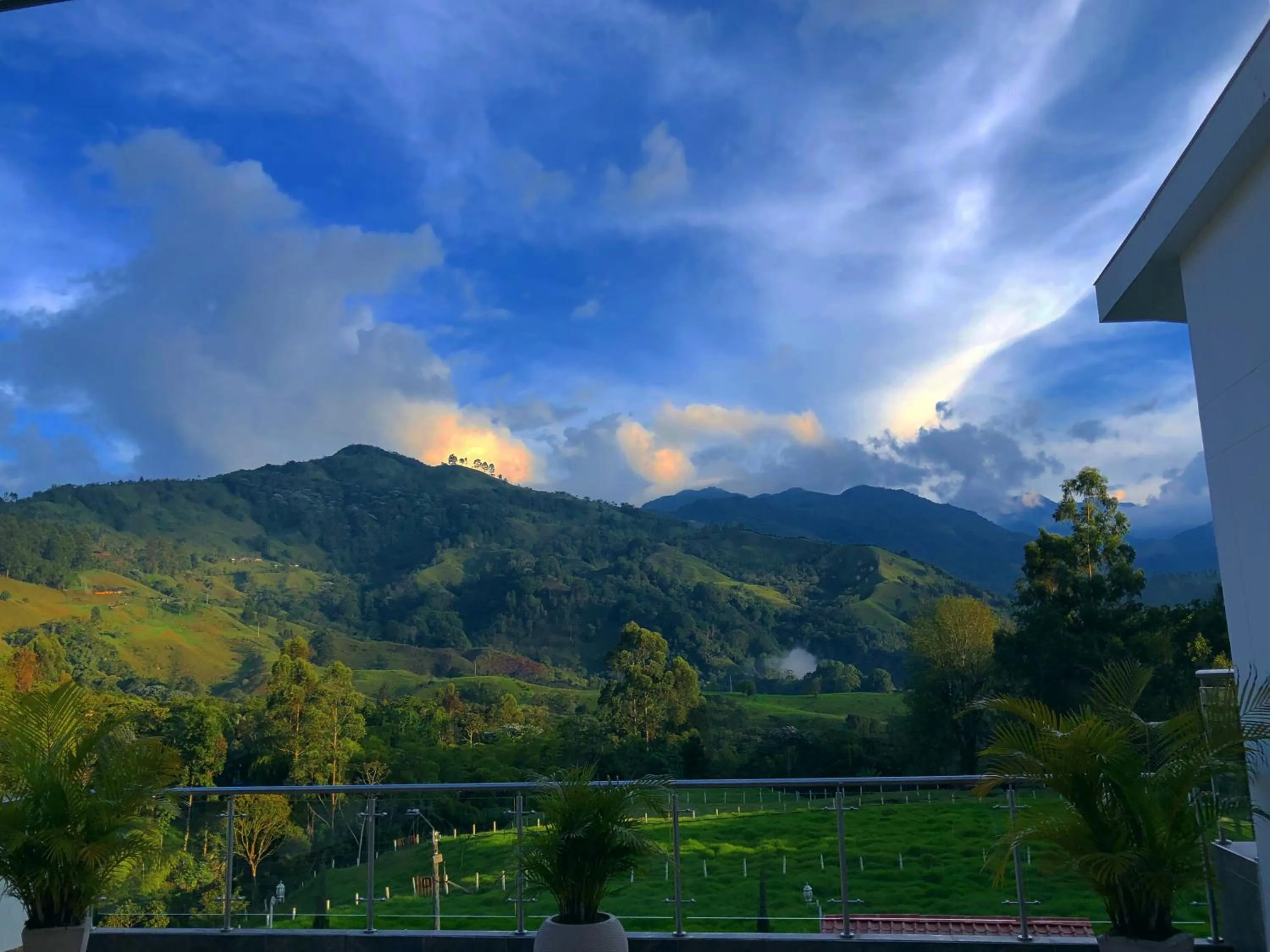 Natural landscape in Hotel Boutique Palmas de Salento