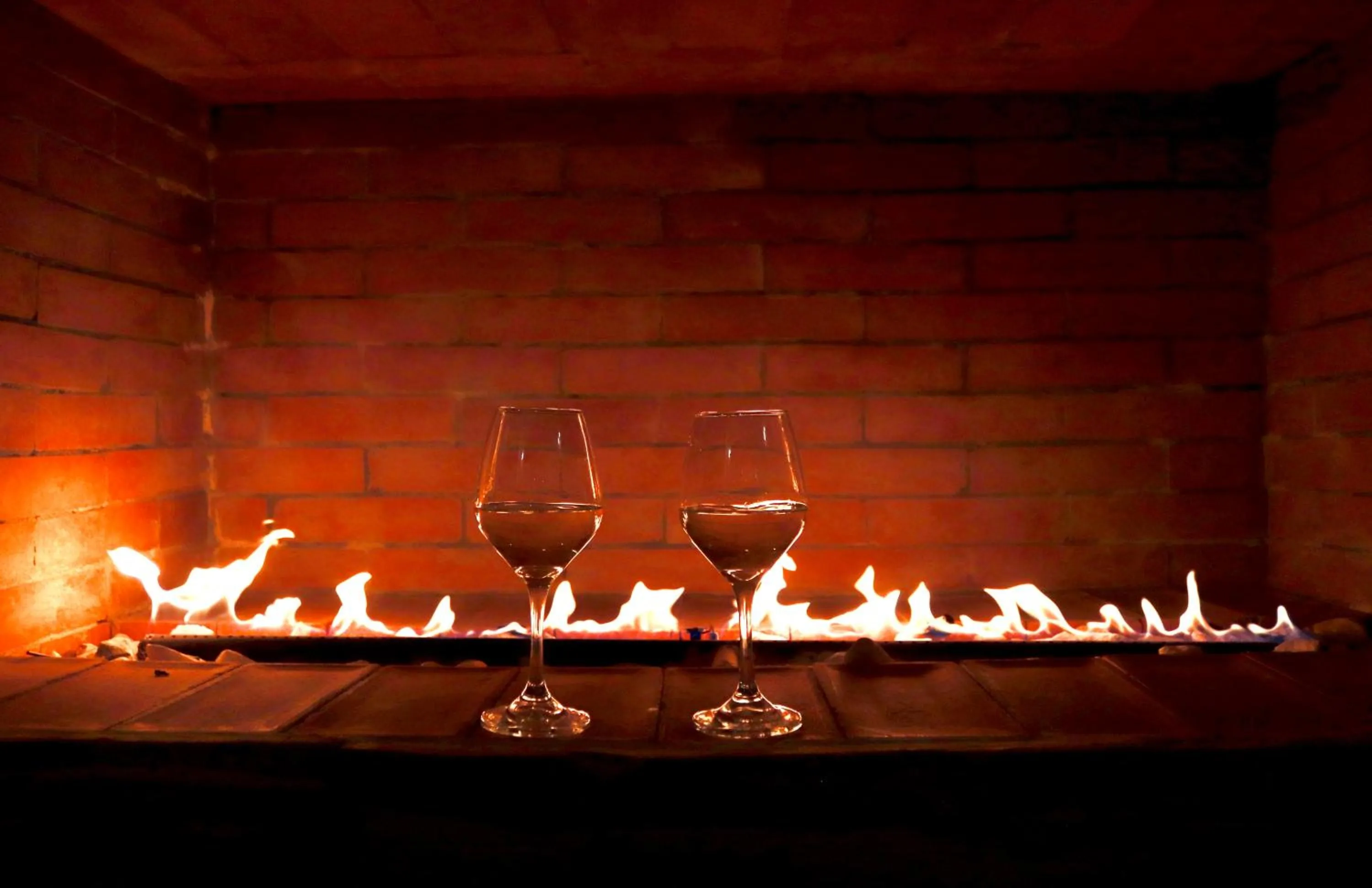 Drinks in Hotel Boutique Palmas de Salento