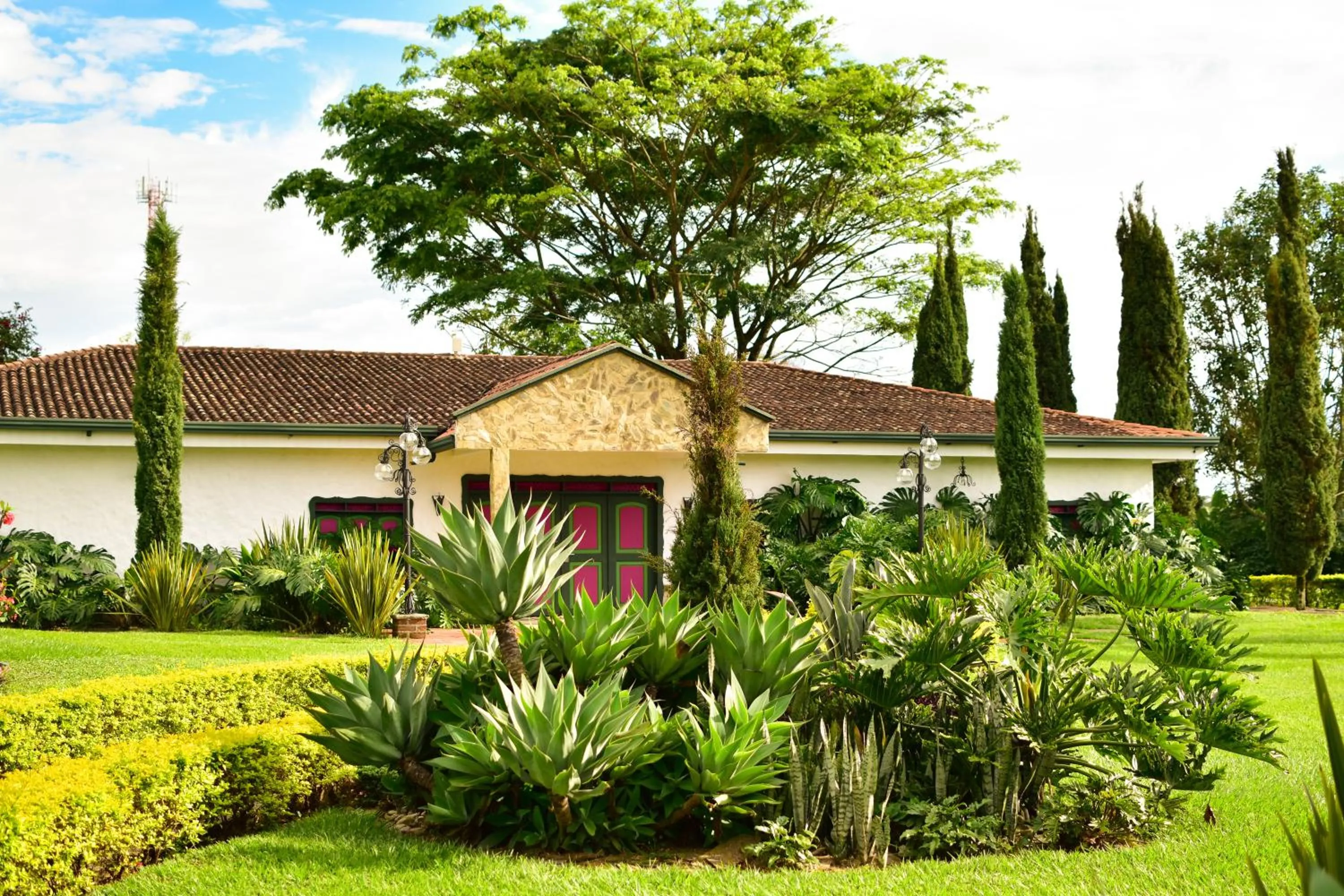 Hotel Campestre Cafe Cafe