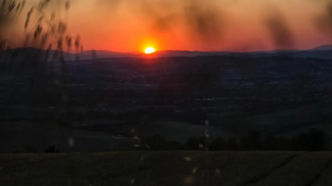 View (from property/room) in Il Giardino delle Rose