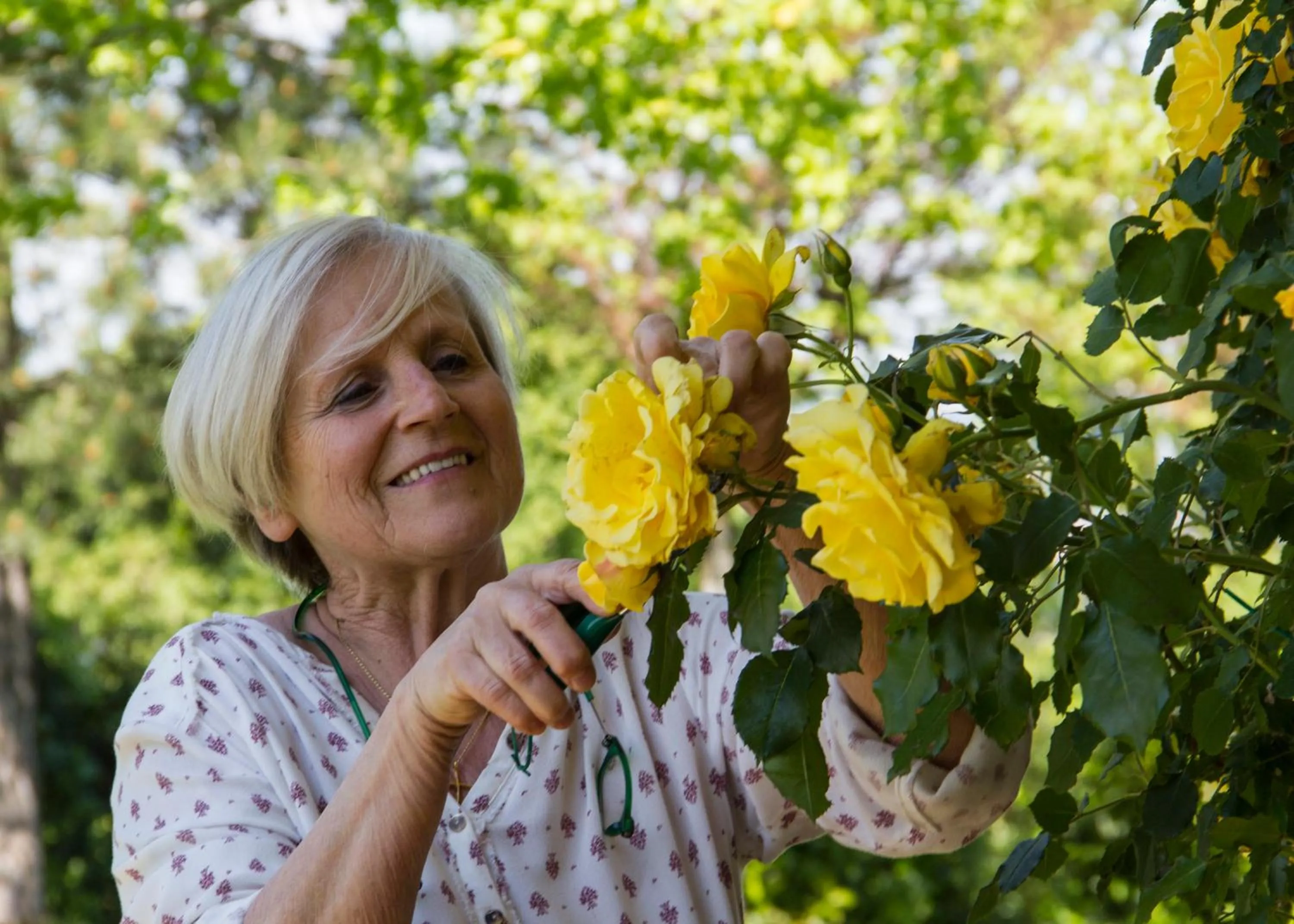 Spring in Il Giardino delle Rose