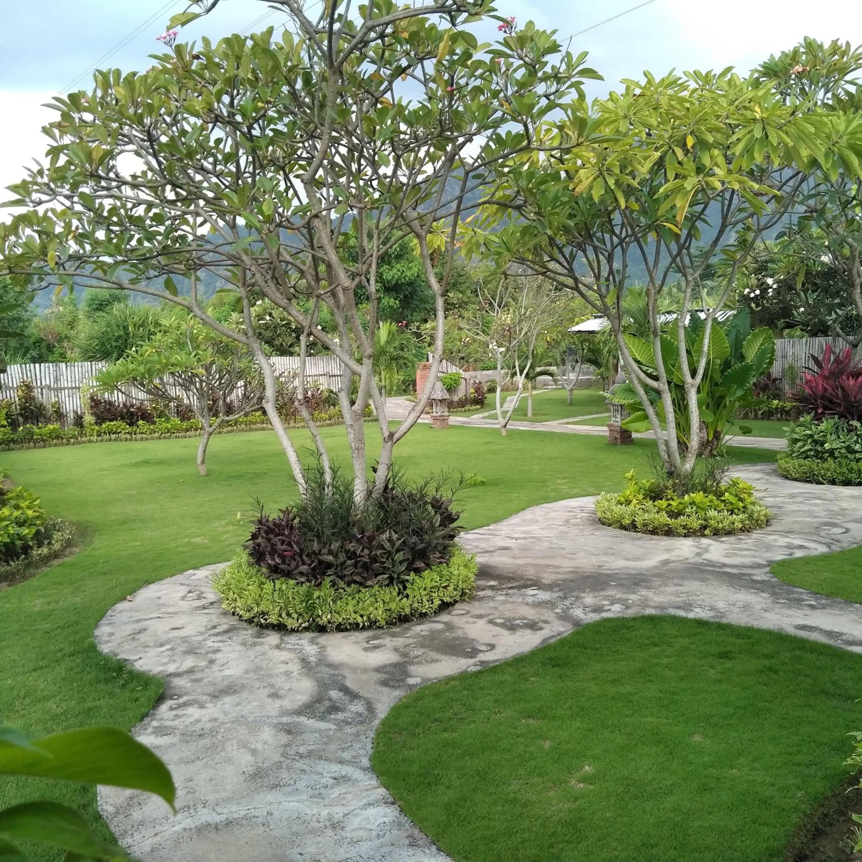 Garden view in Krisna Homestay