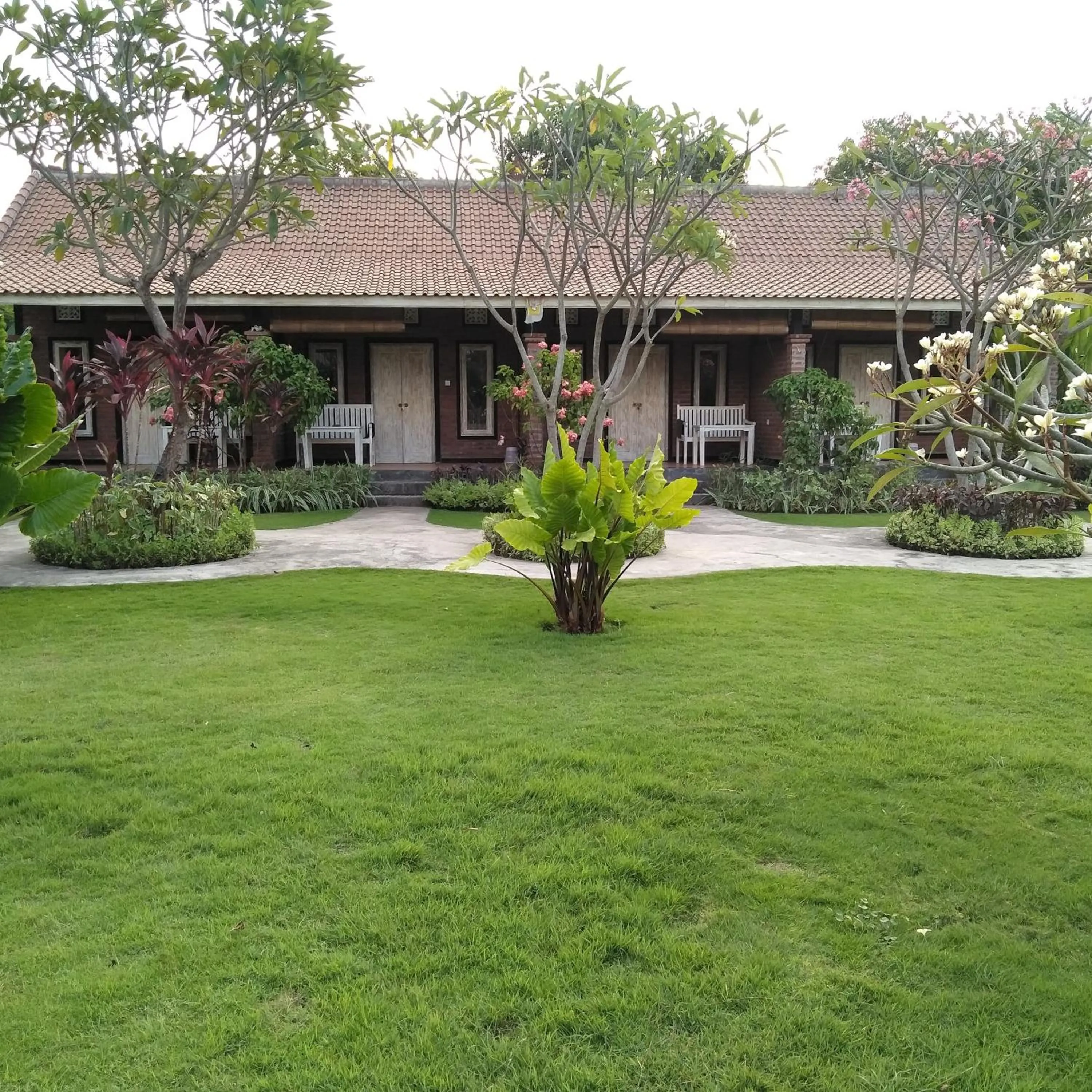 Garden in Krisna Homestay