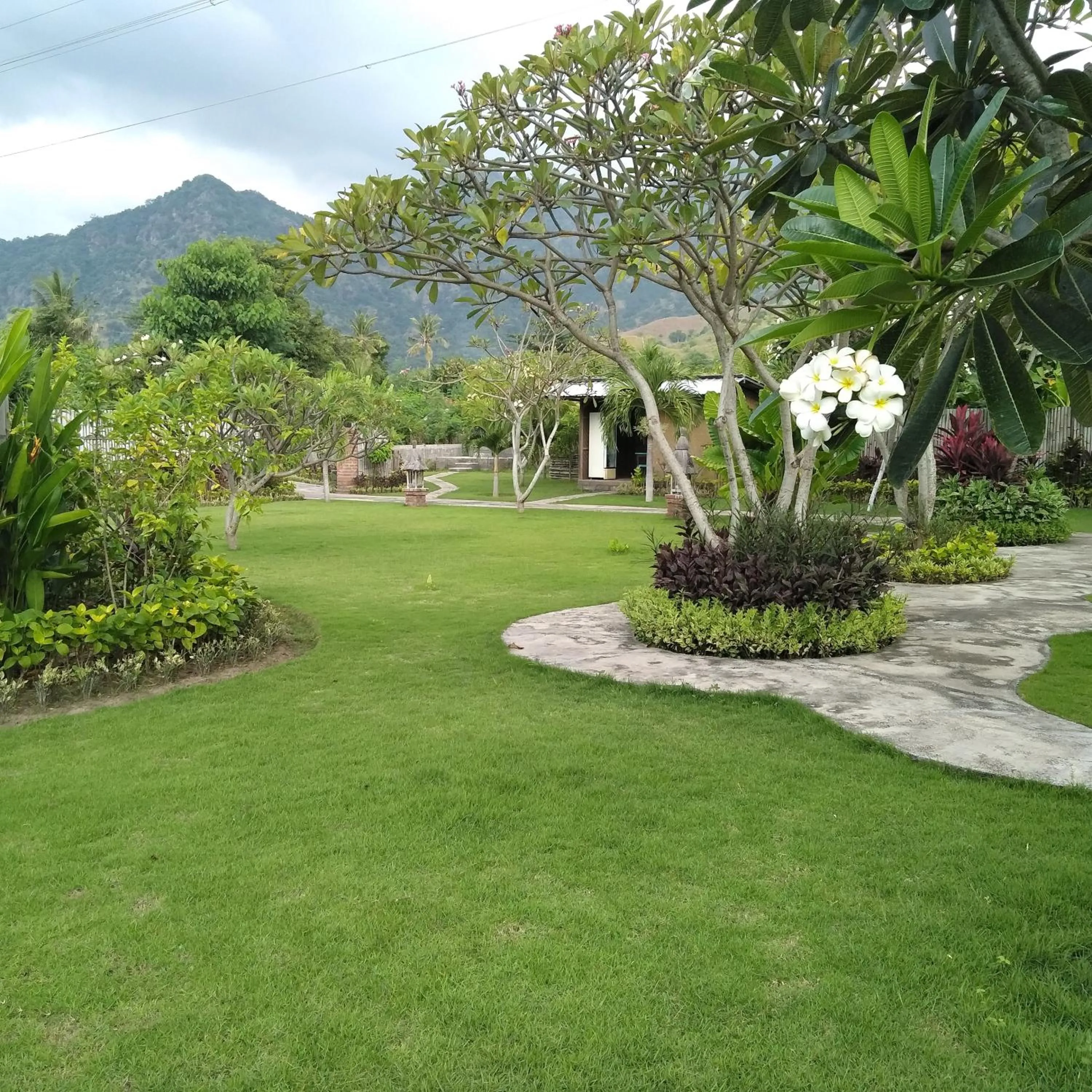Garden in Krisna Homestay