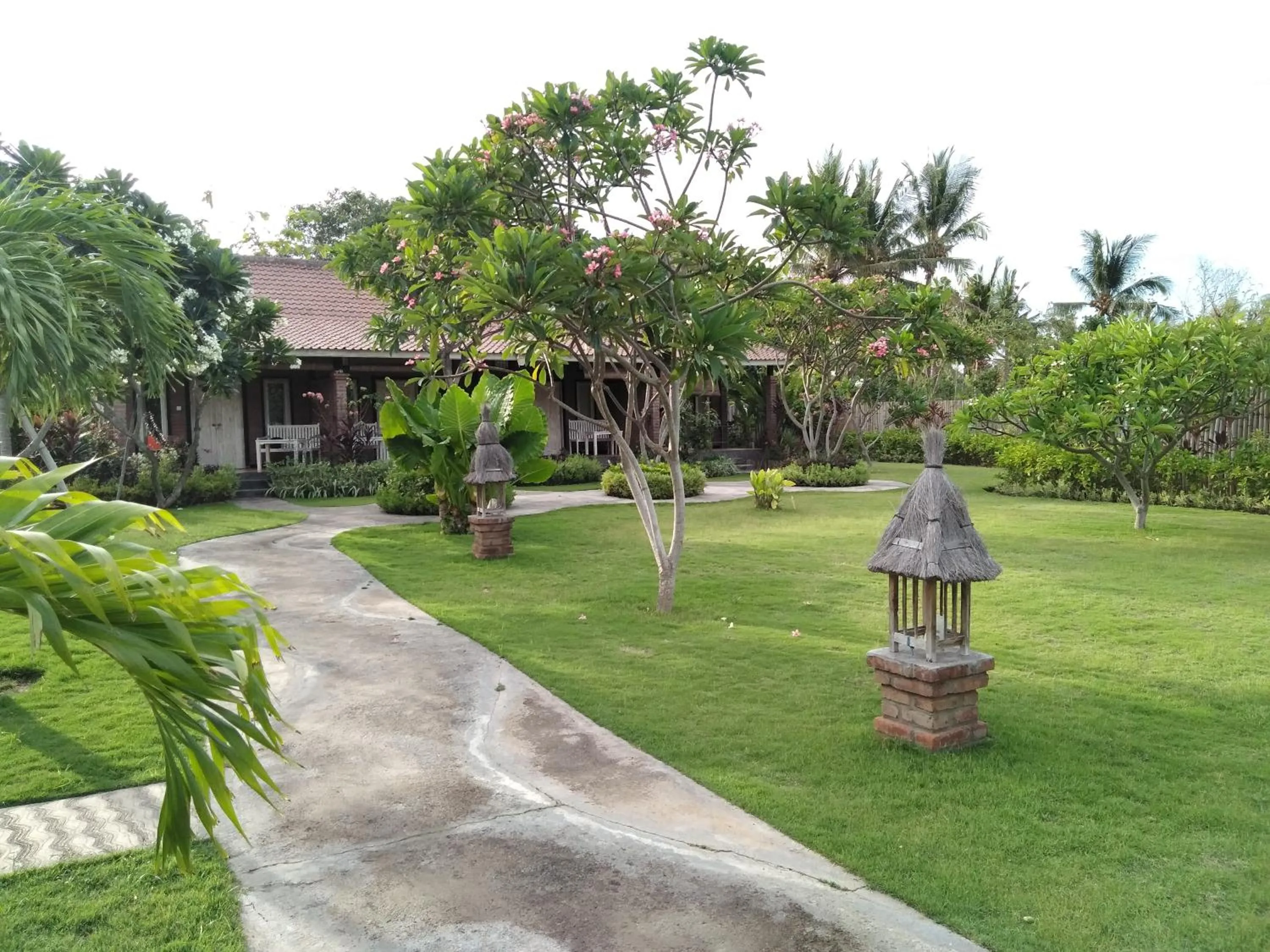 Garden in Krisna Homestay