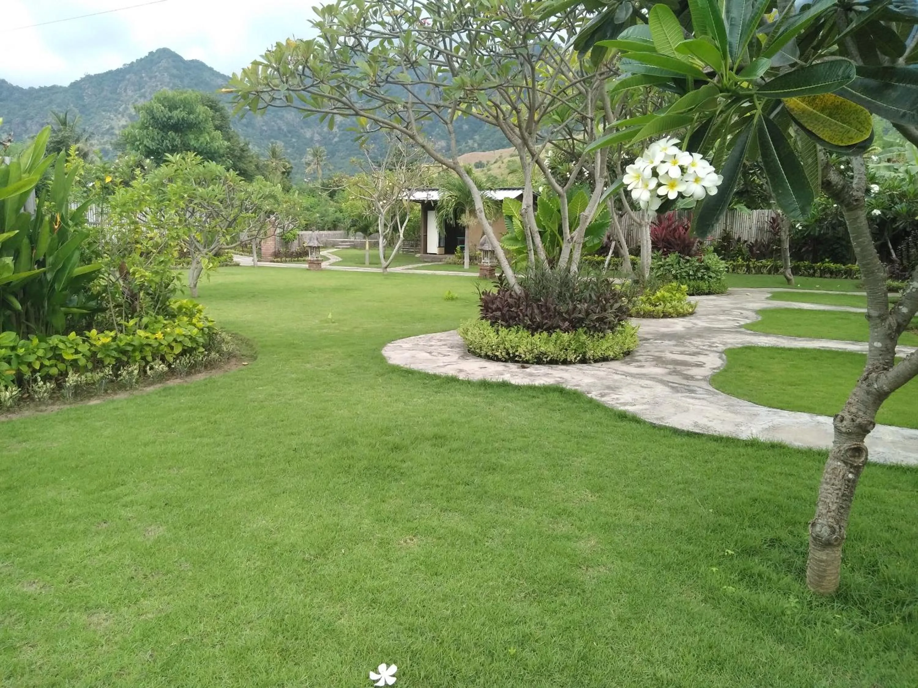 Garden in Krisna Homestay