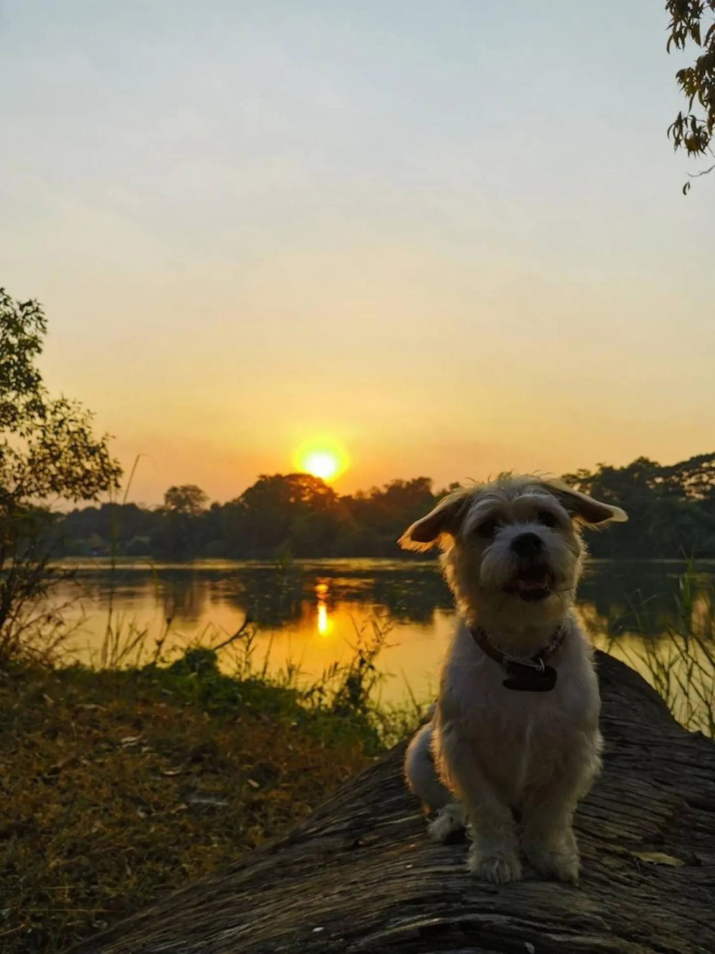 The Antique Riverside Resort