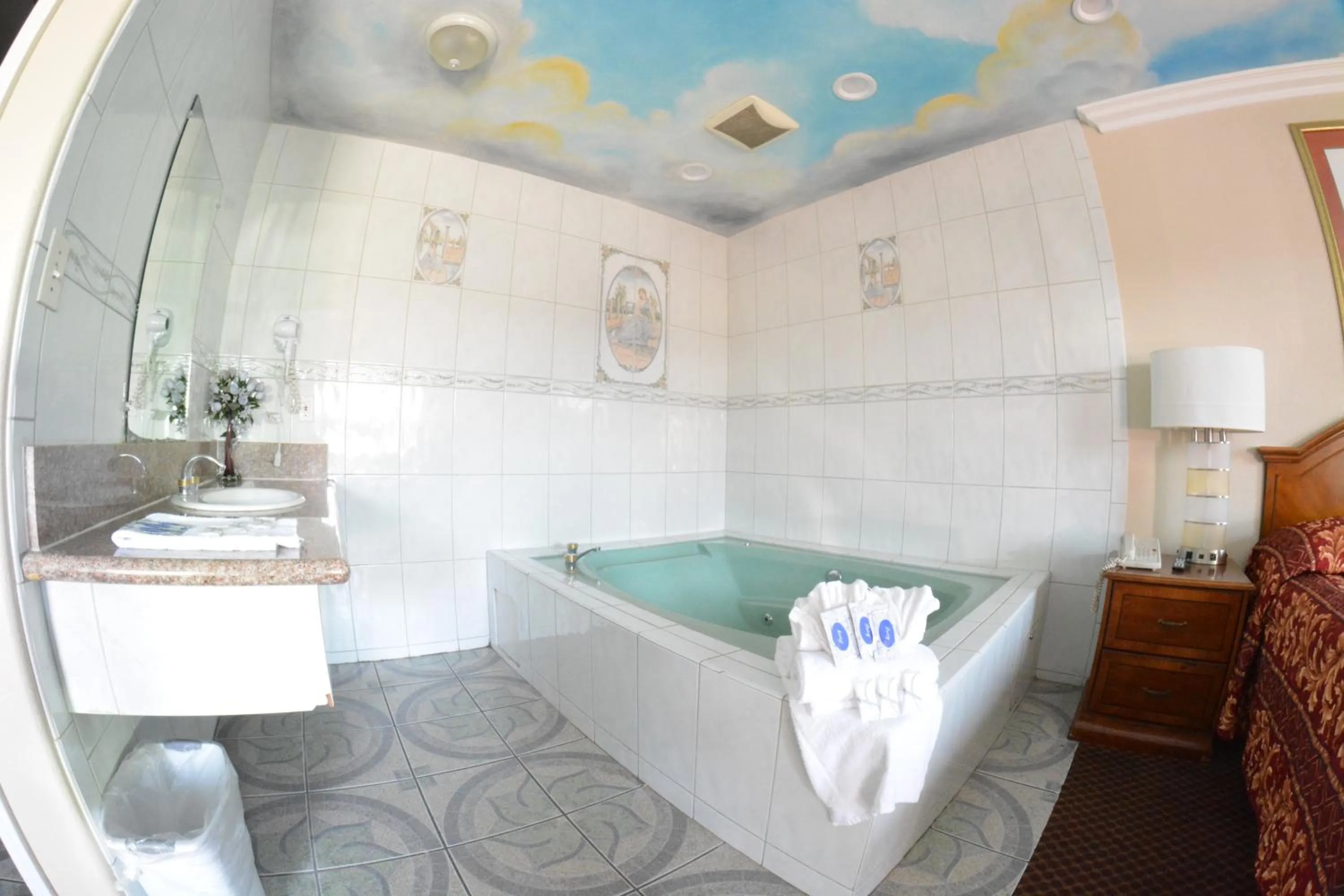 Area and facilities in The Palace Inn