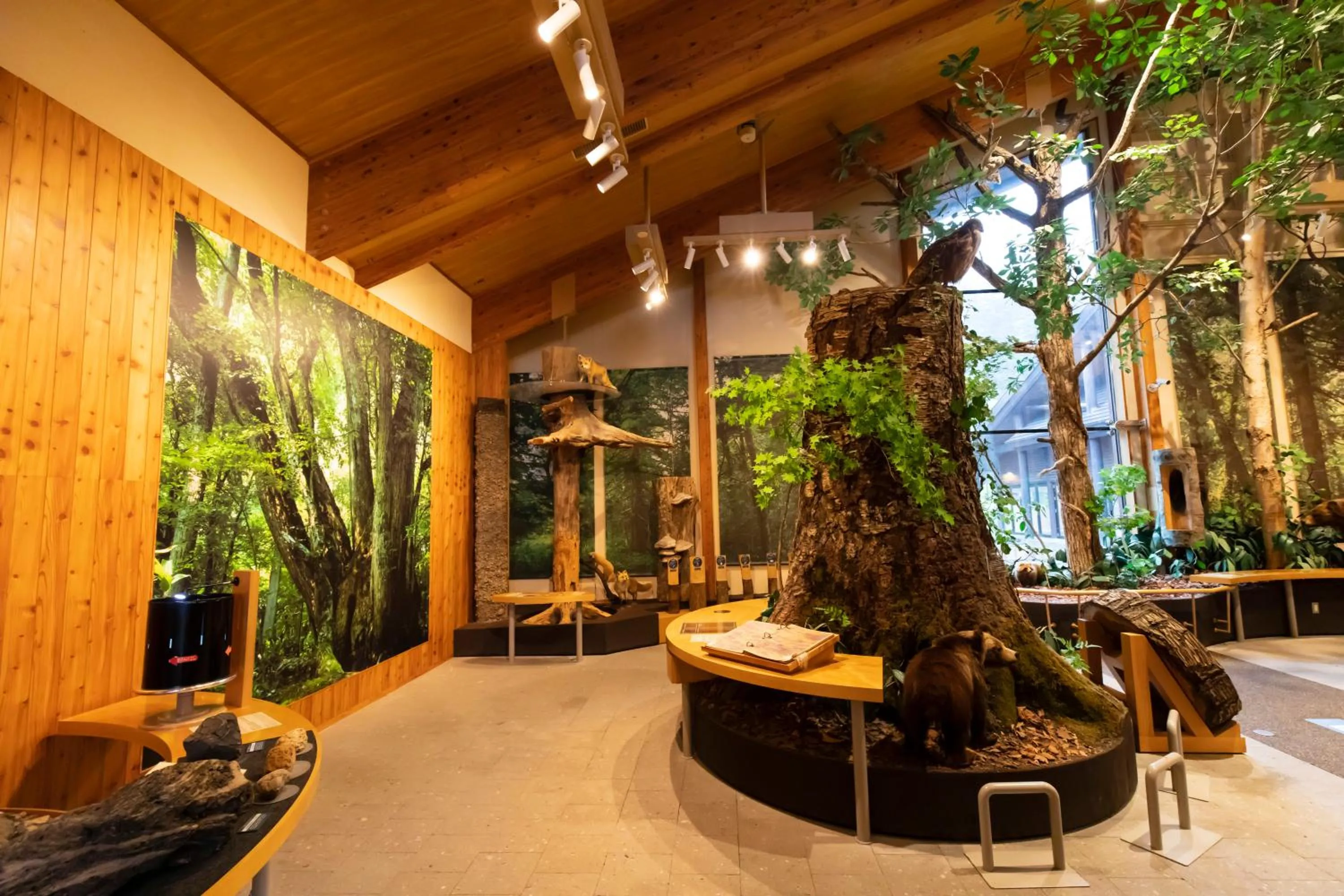 Nearby landmark in Kyukamura Shikotsuko