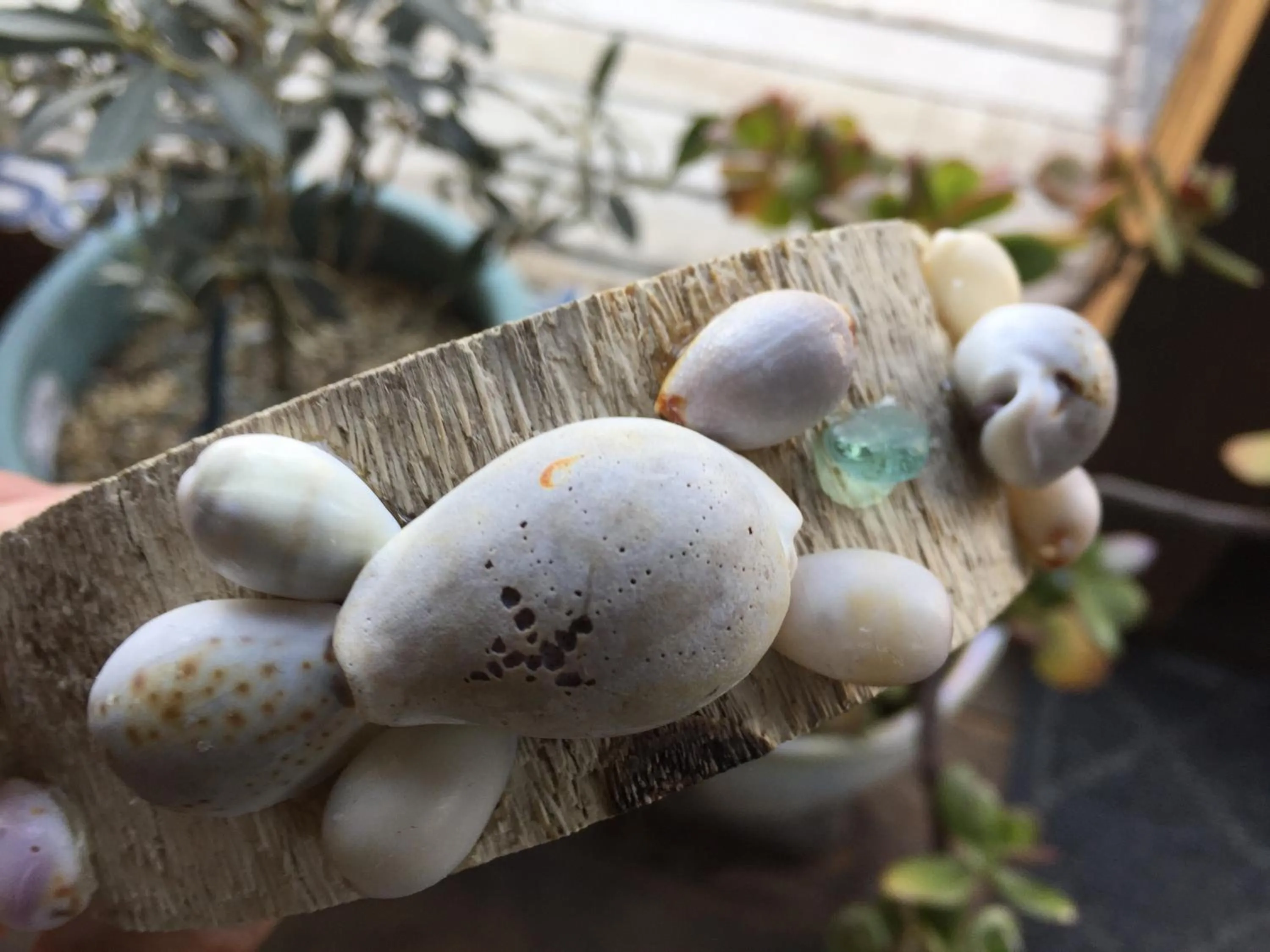 Other in South Bird Inn