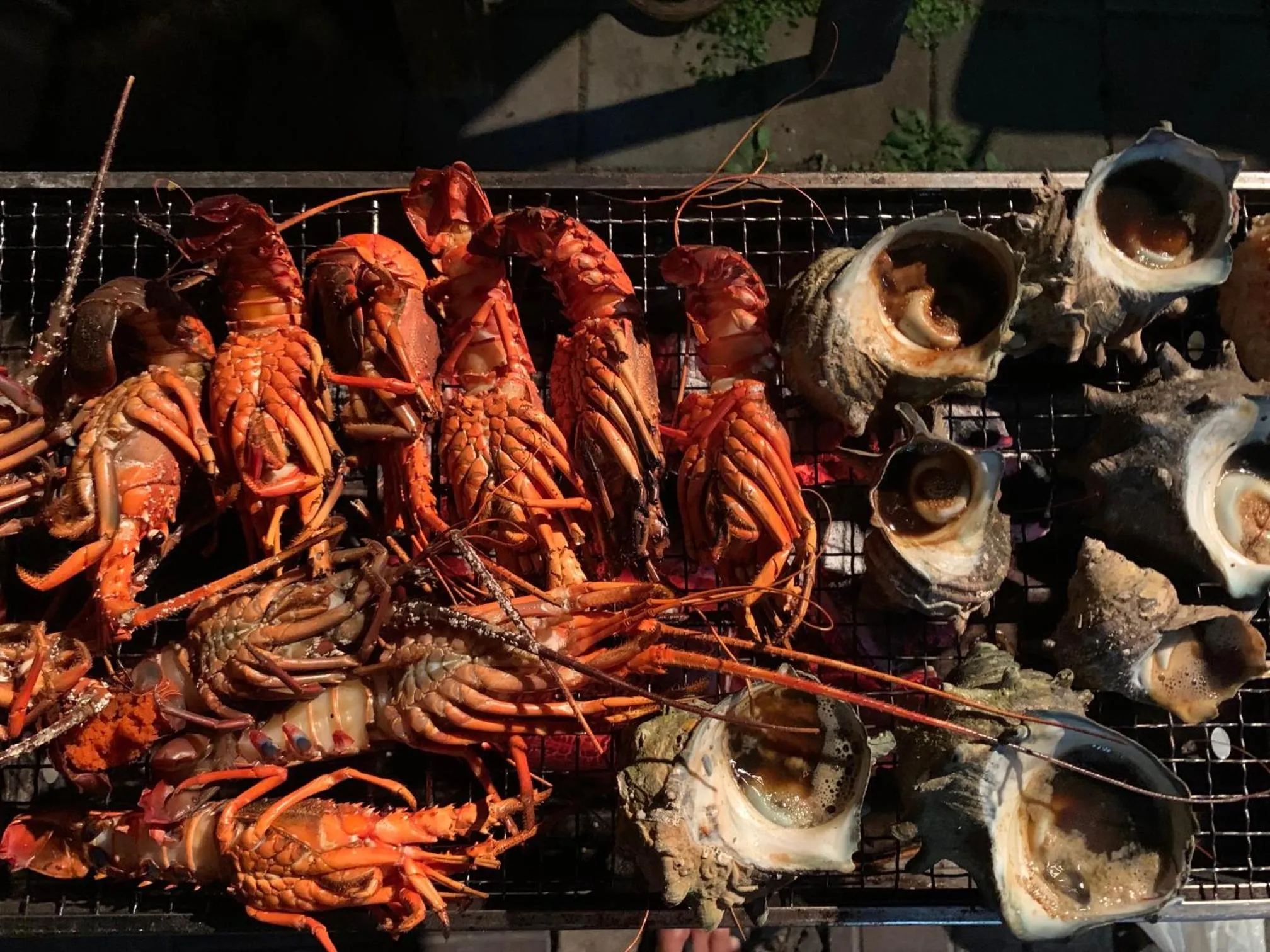 BBQ facilities in South Bird Inn