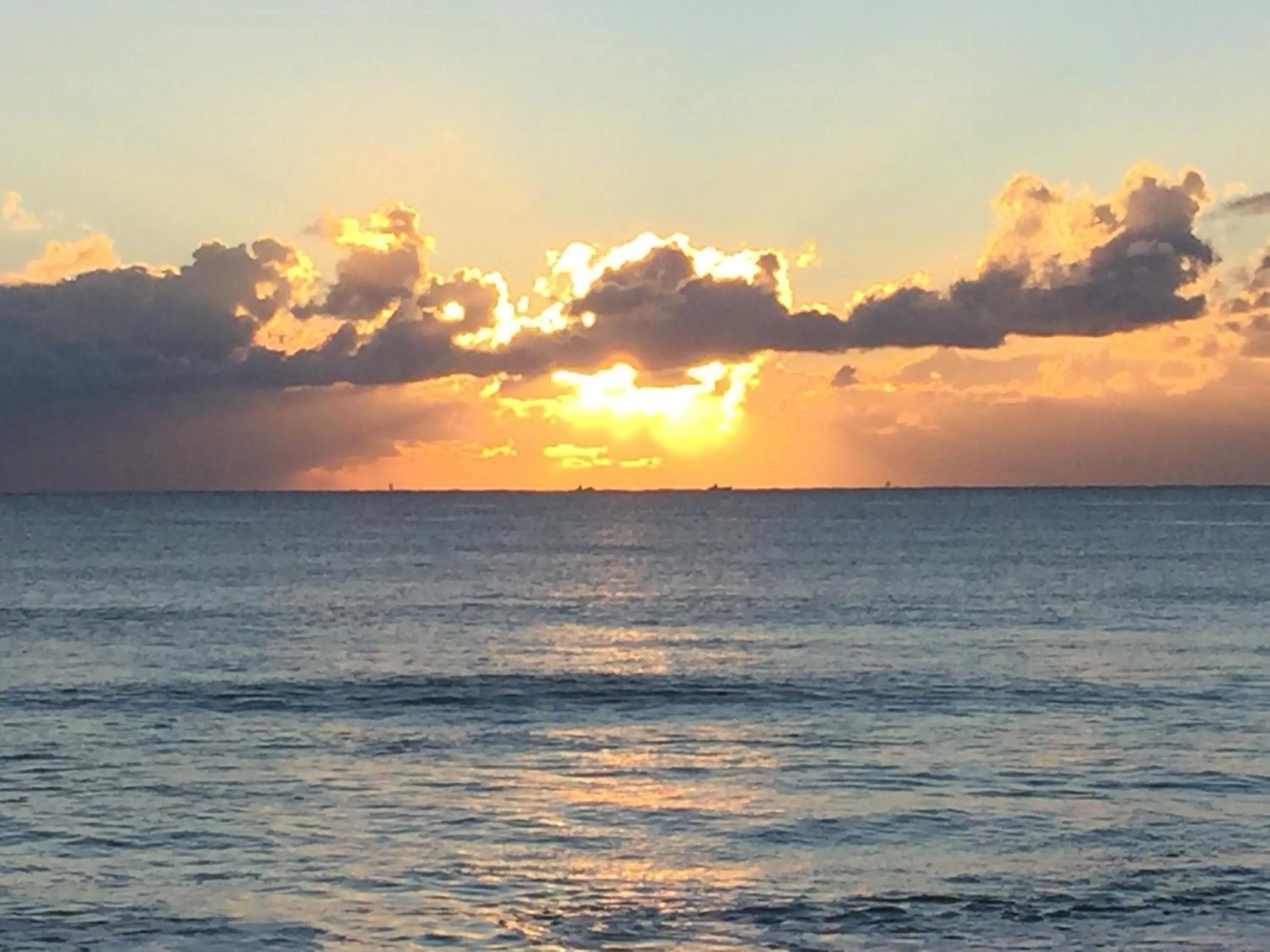 Natural landscape in South Bird Inn