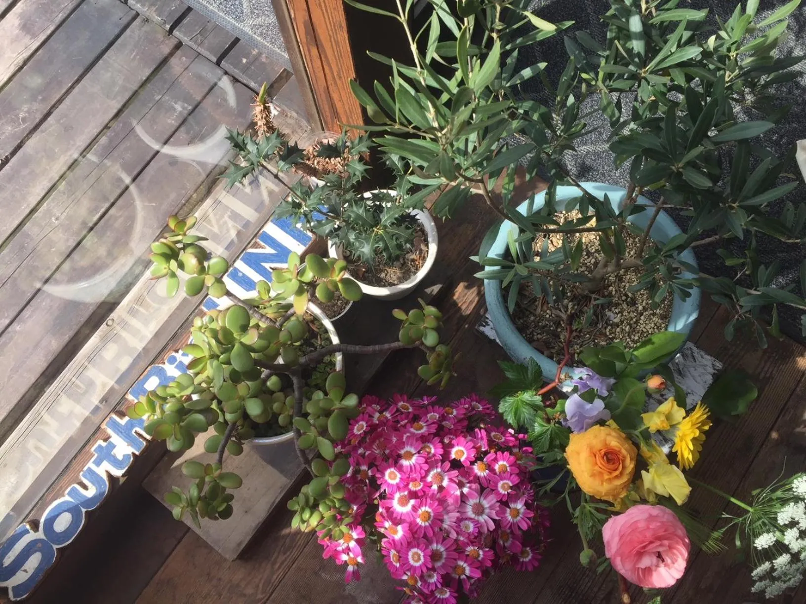 Other in South Bird Inn