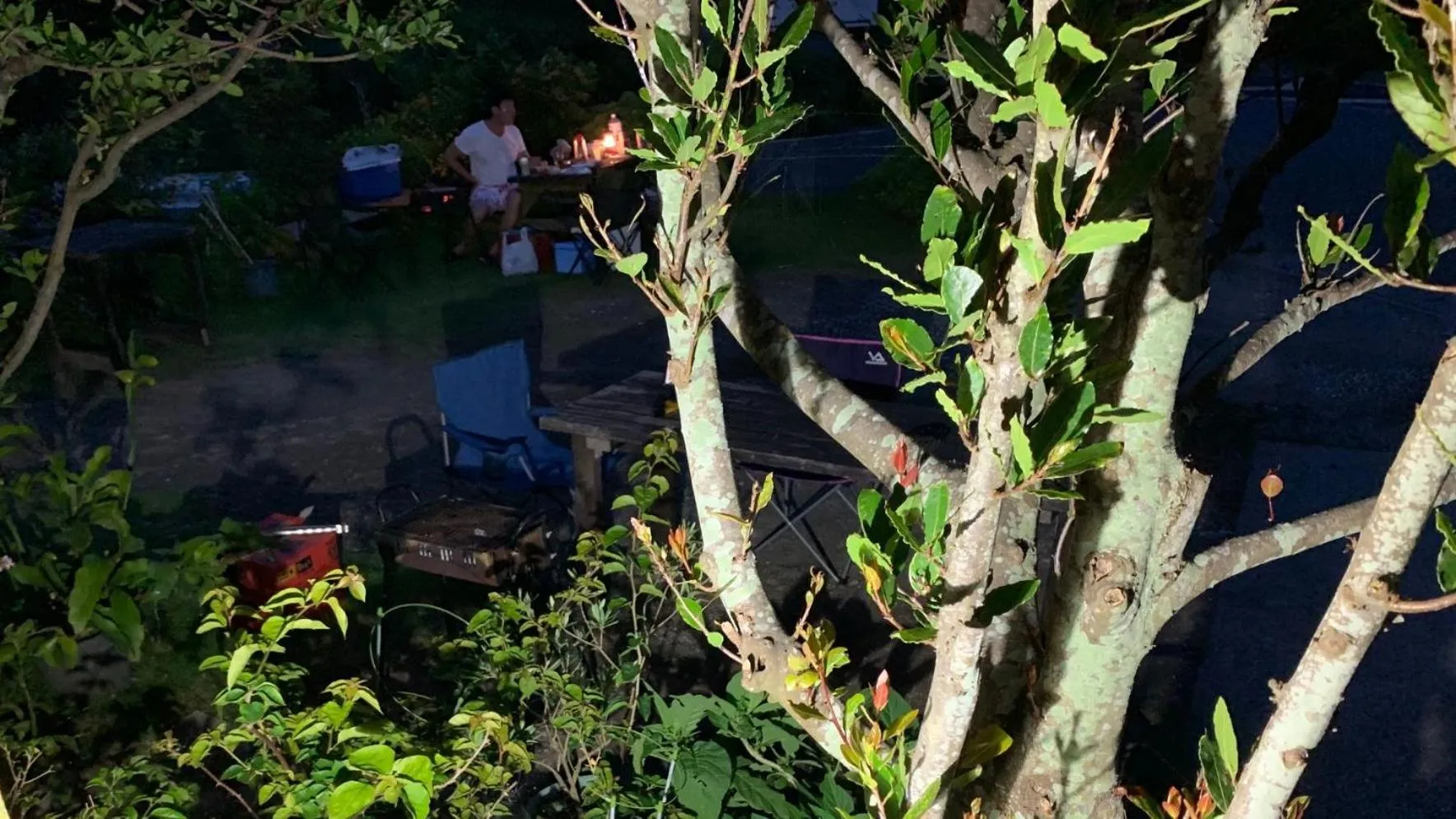 BBQ facilities in South Bird Inn