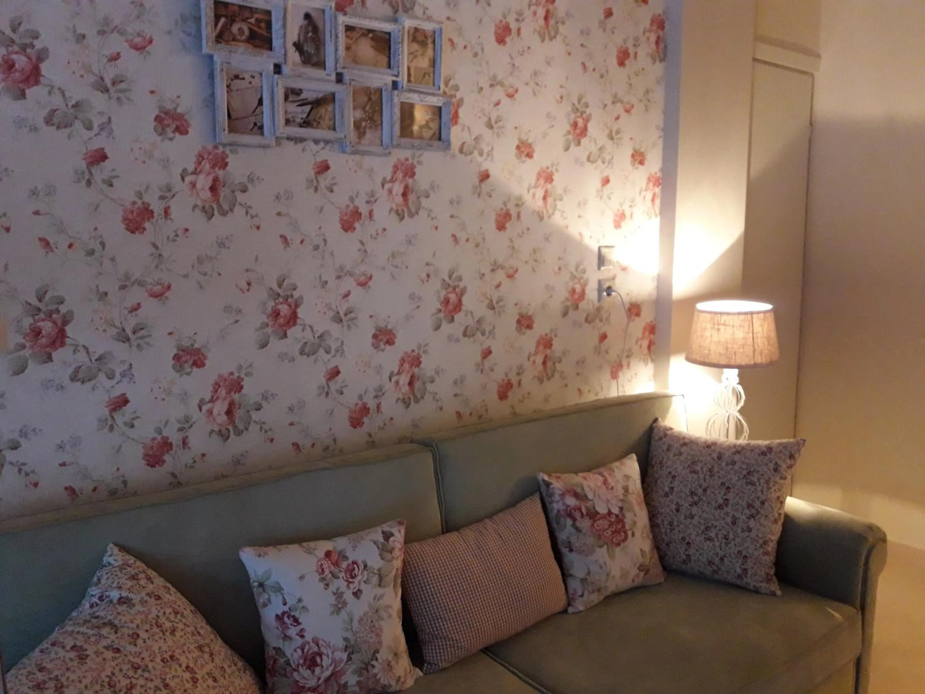 Communal lounge/ TV room in Megas Alexandros