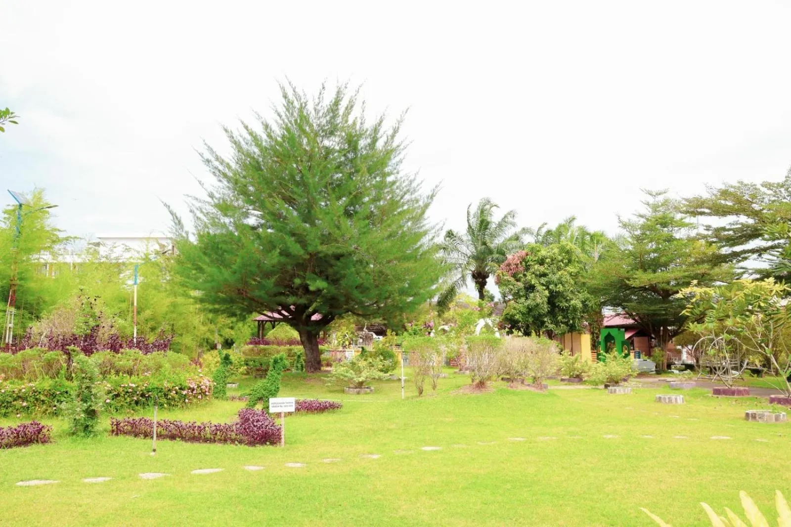 Natural landscape in Thong's Inn Hotel Kualanamu