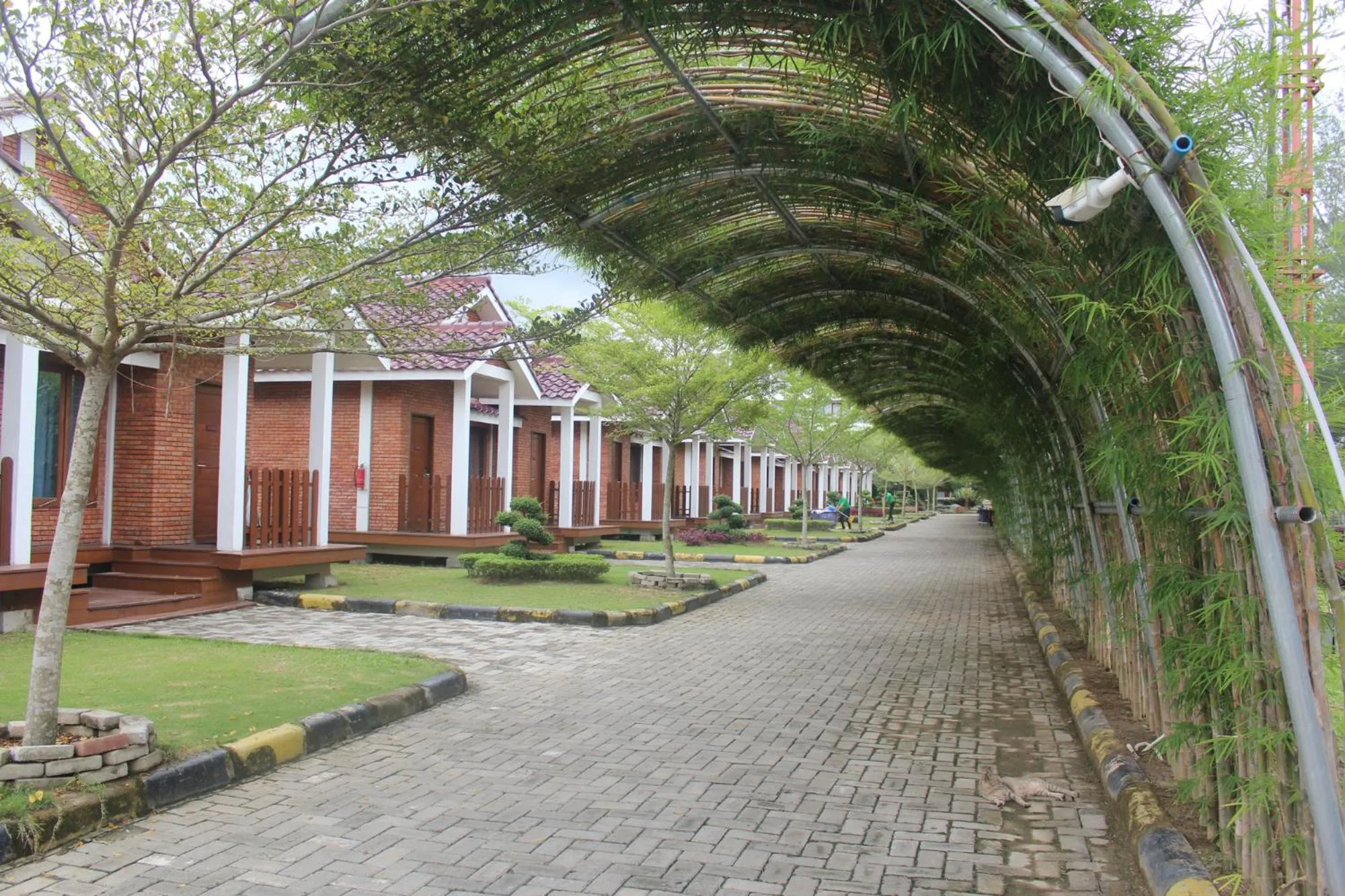 Property building in Thong's Inn Hotel Kualanamu