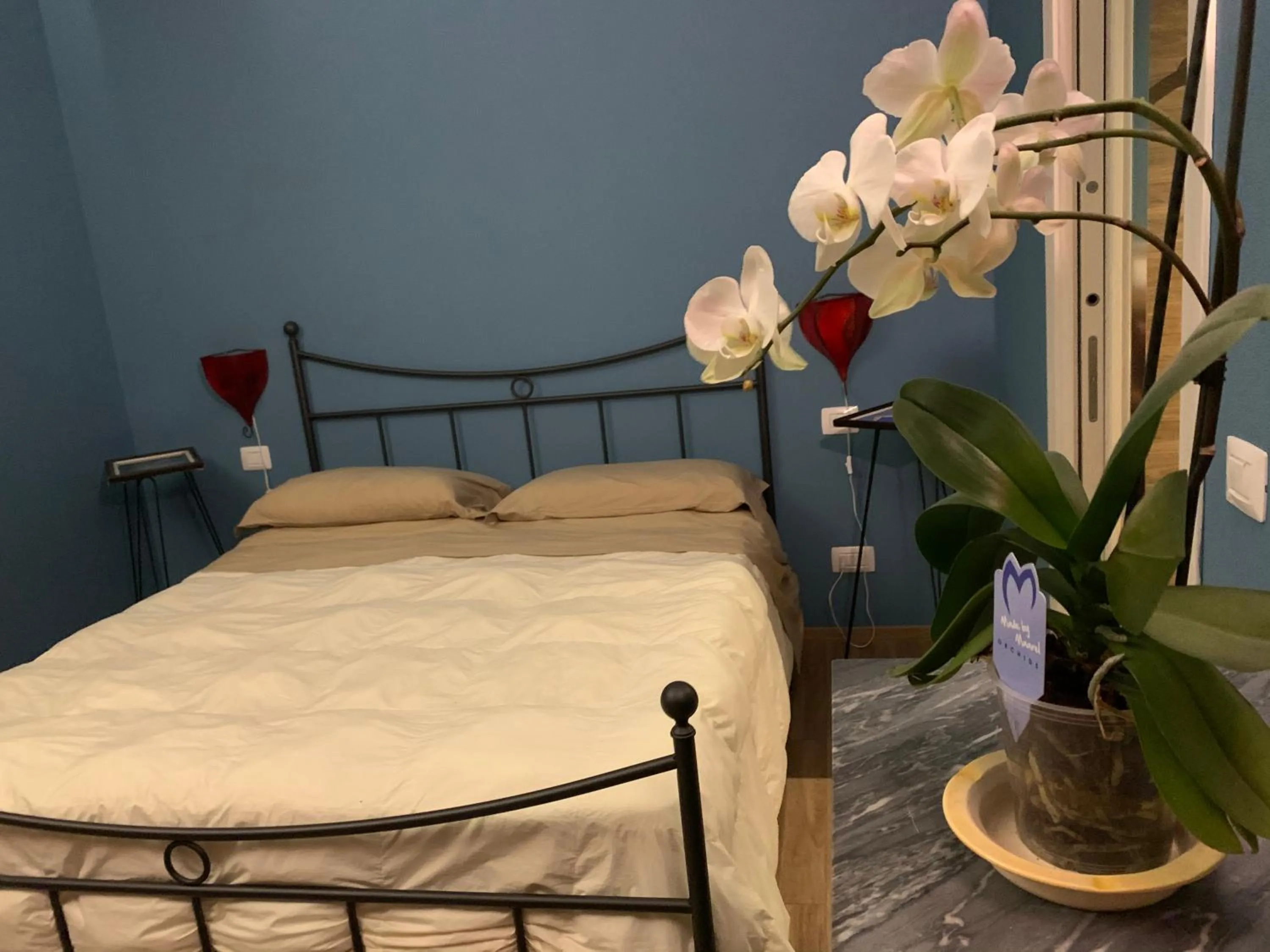 Alla corte dei Caretto