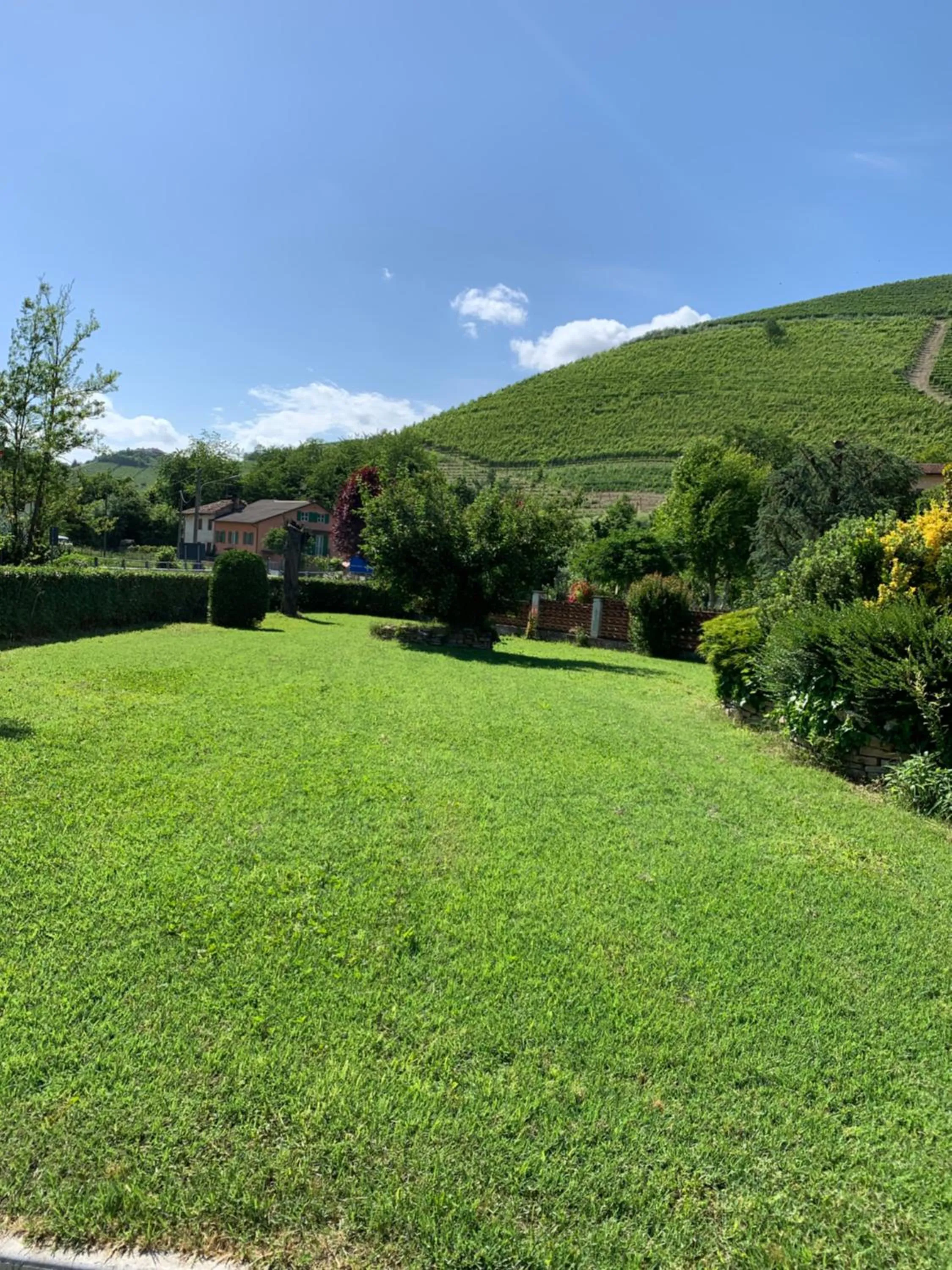 Alla corte dei Caretto