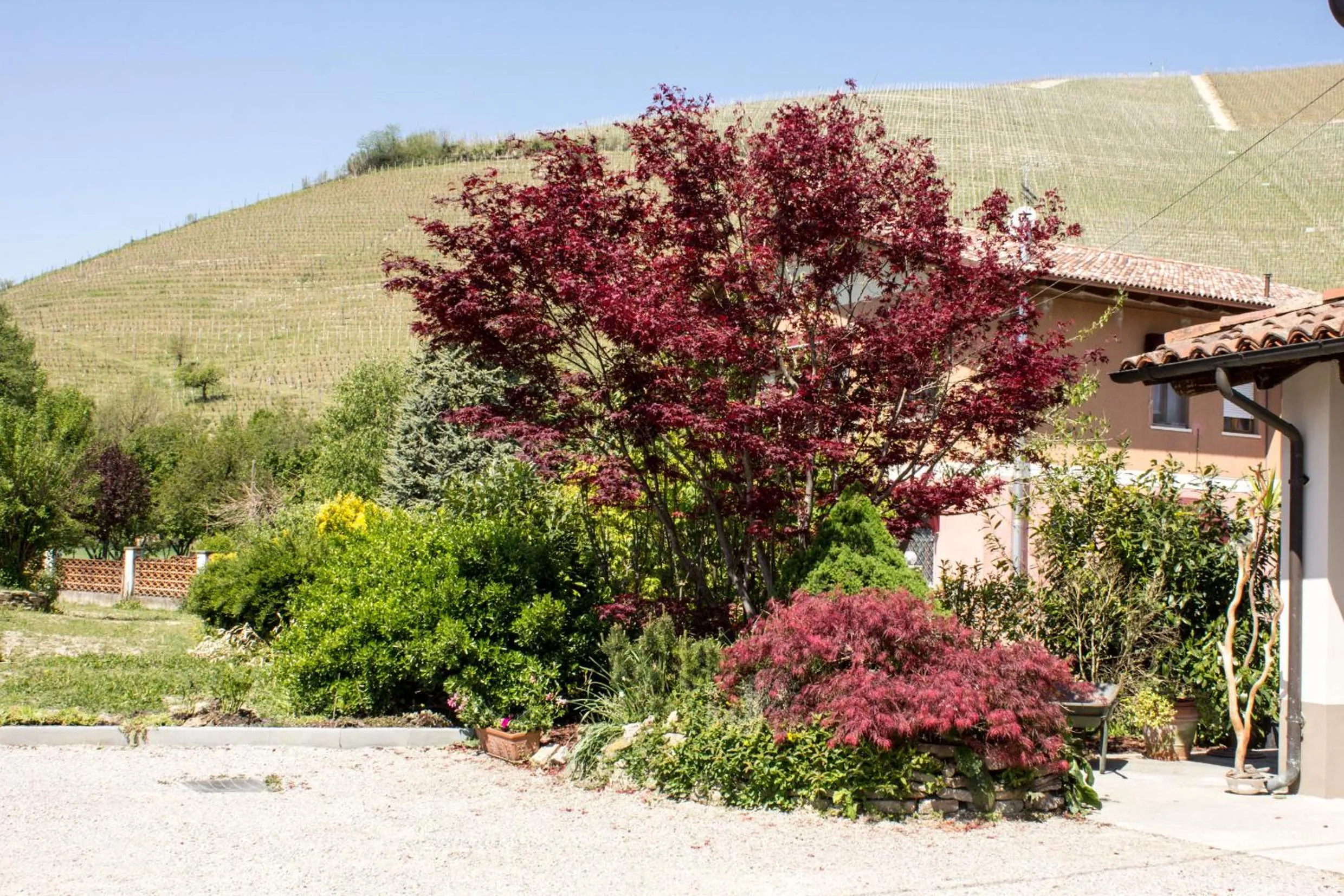 Property building in Alla corte dei Caretto