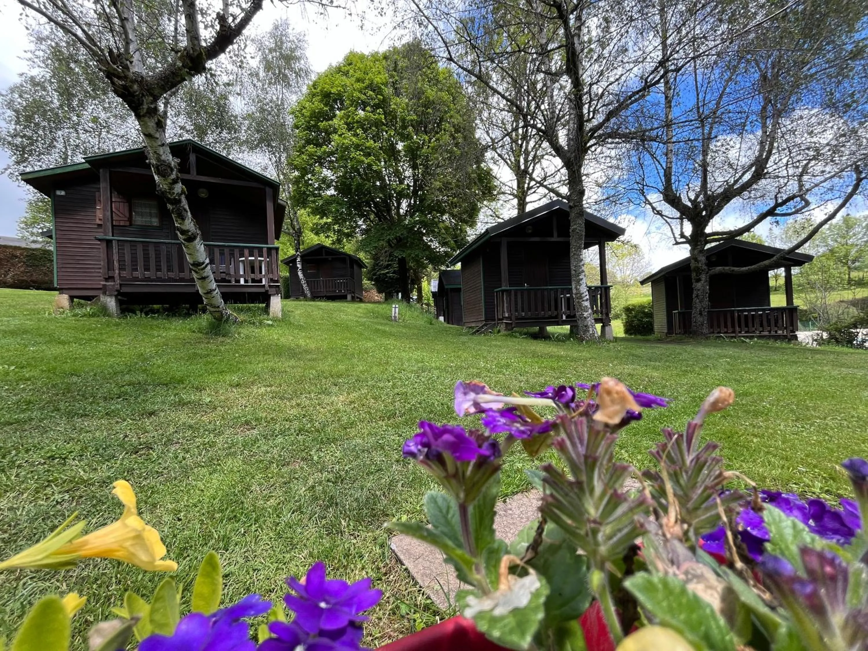 View (from property/room) in Camping de Tauves