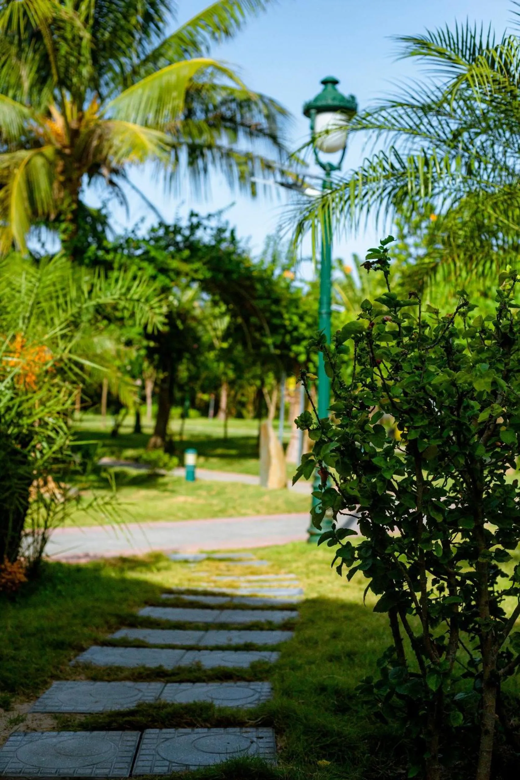 Garden in Gold Coast Hotel Resort & Spa