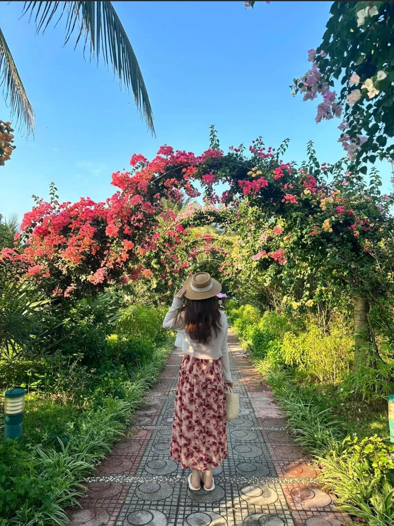 Garden in Gold Coast Hotel Resort & Spa