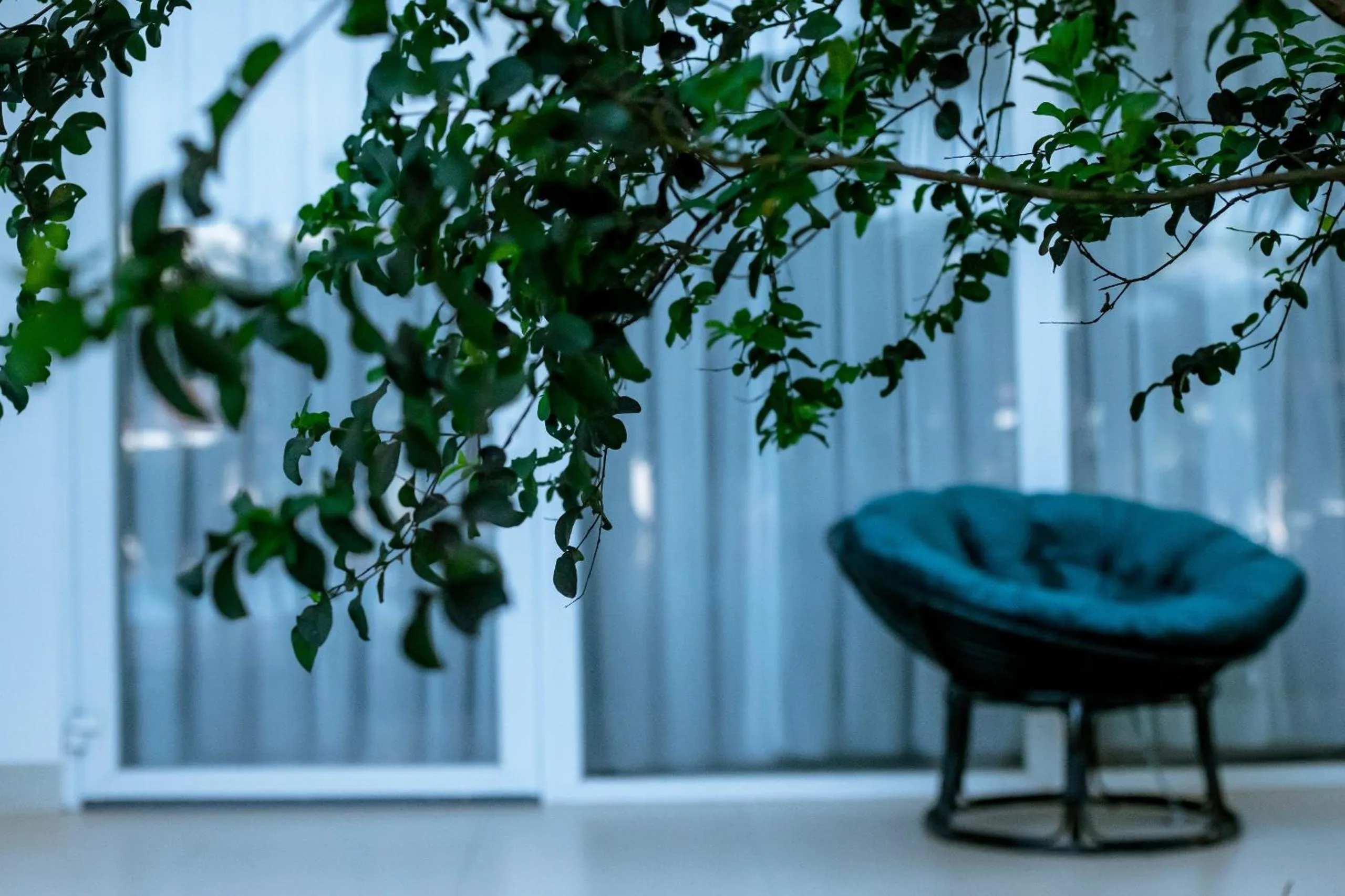 Garden view in Gold Coast Hotel Resort & Spa