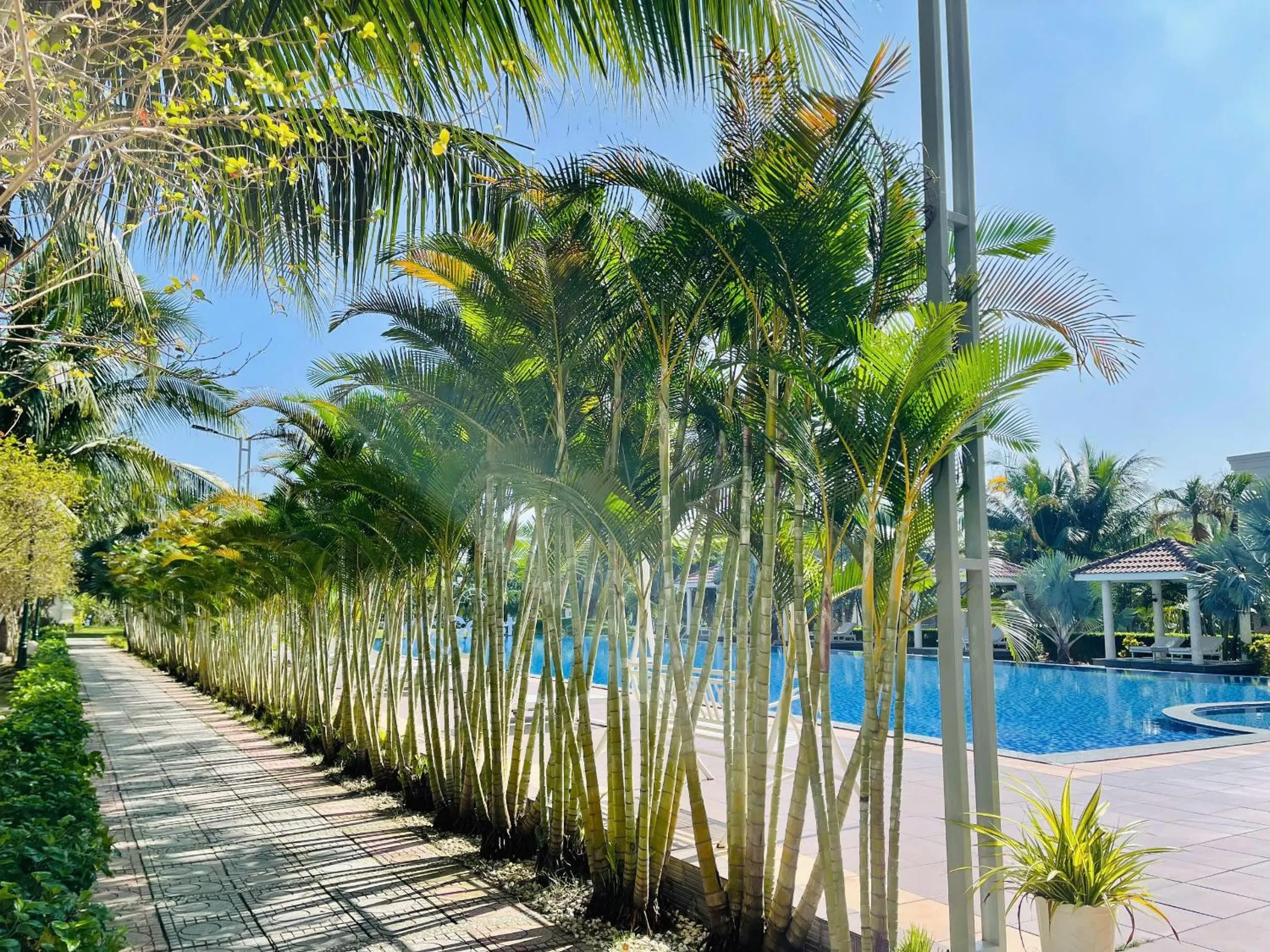Swimming pool in Gold Coast Hotel Resort & Spa