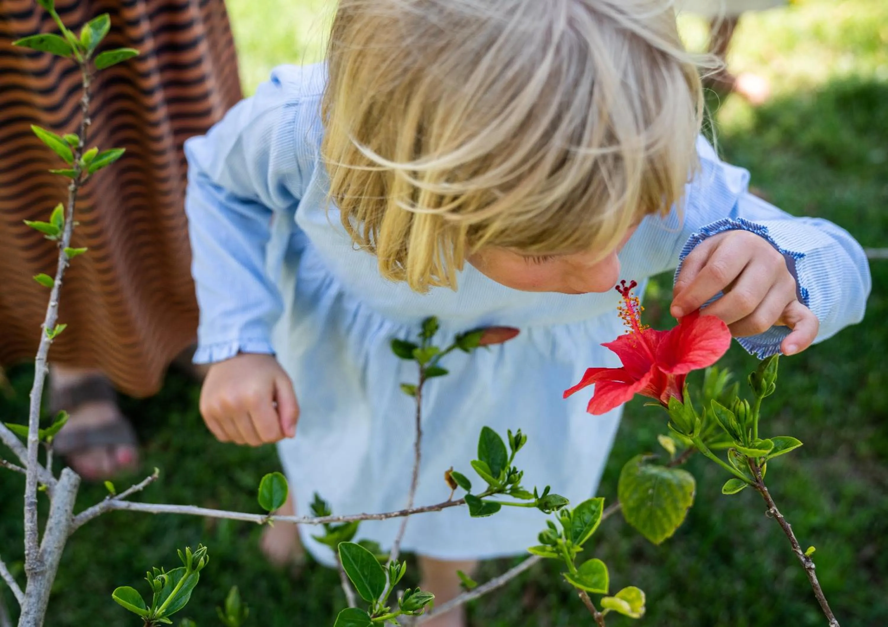 Garden in Baia Del Sole Resort