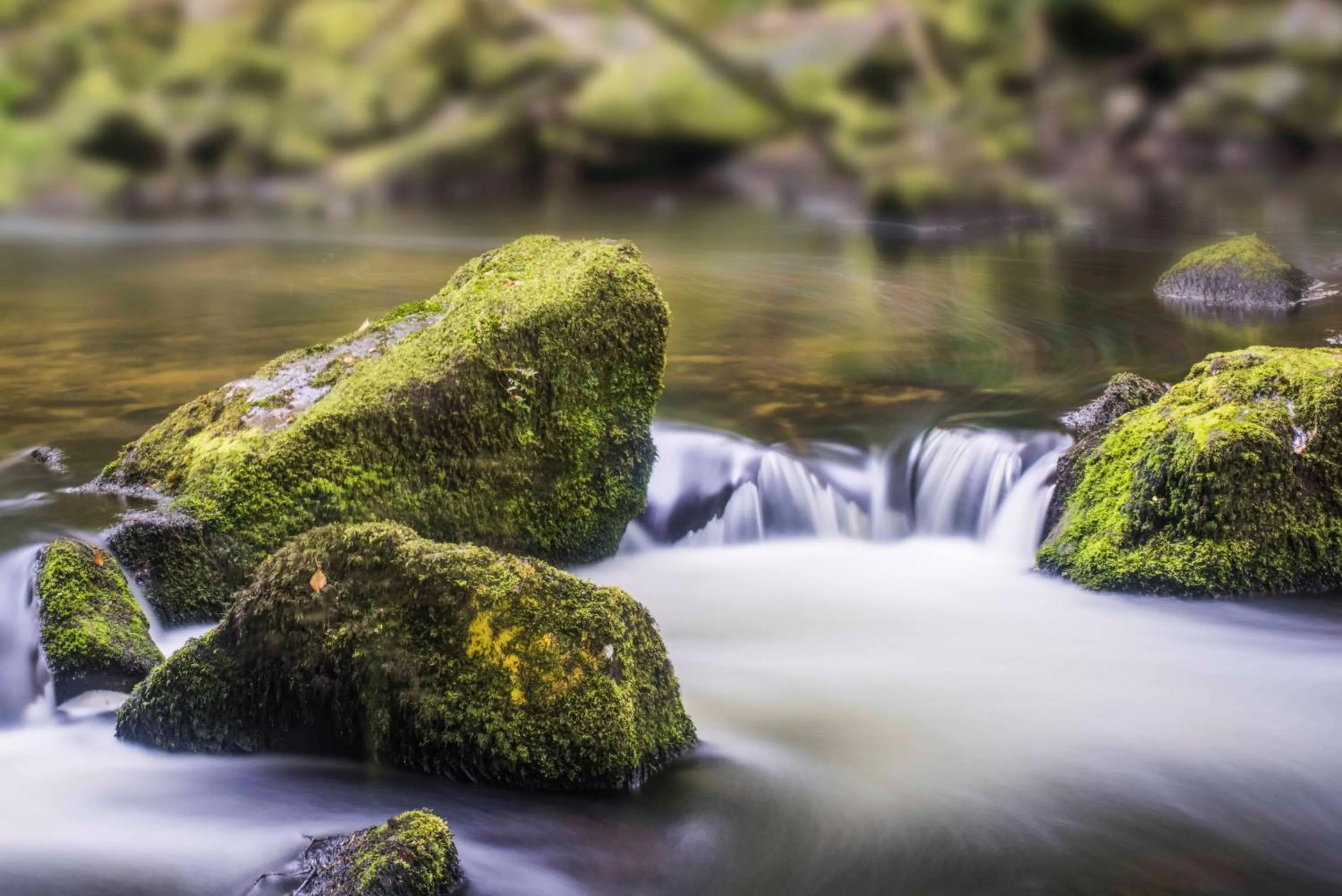 Smallholding Retreat