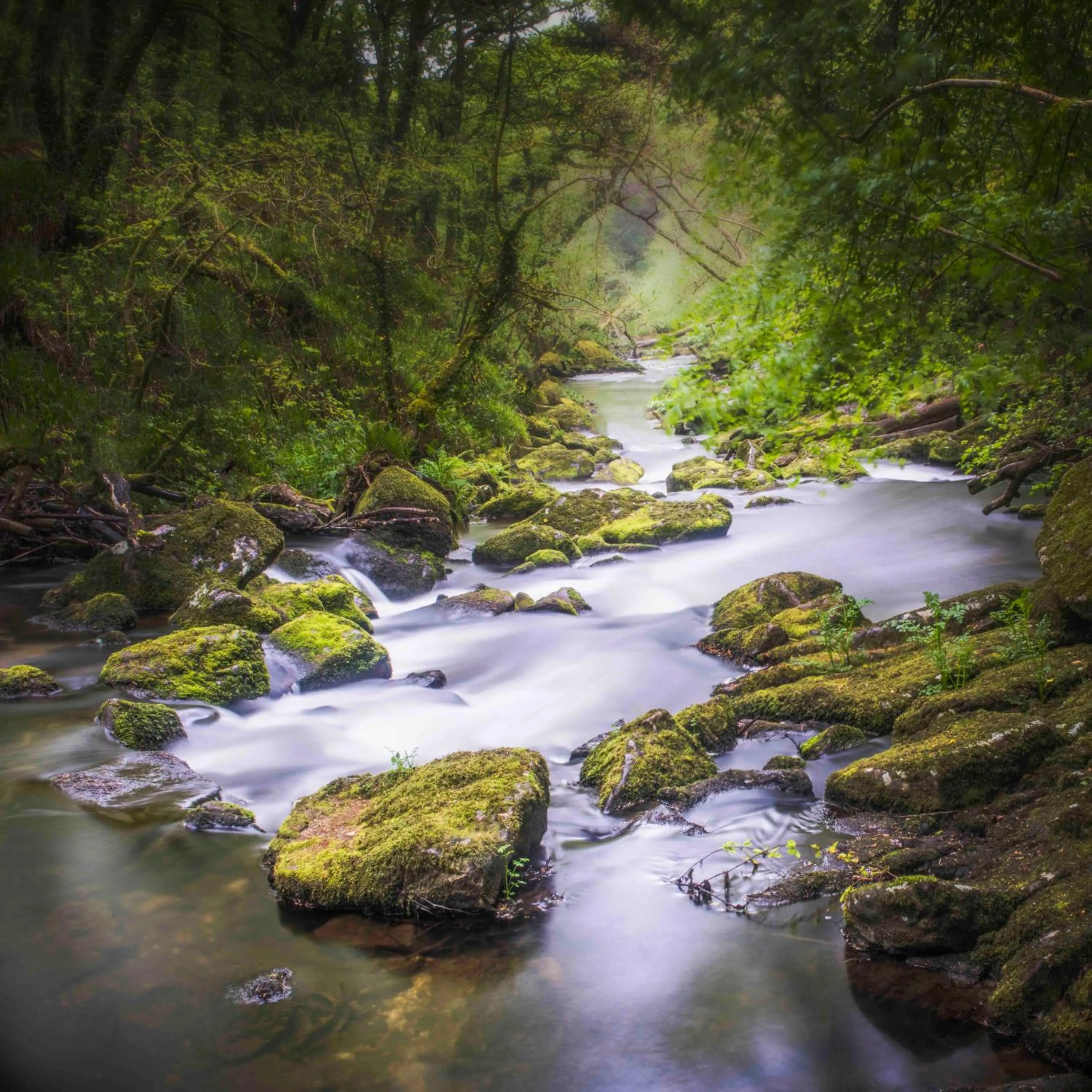 Smallholding Retreat