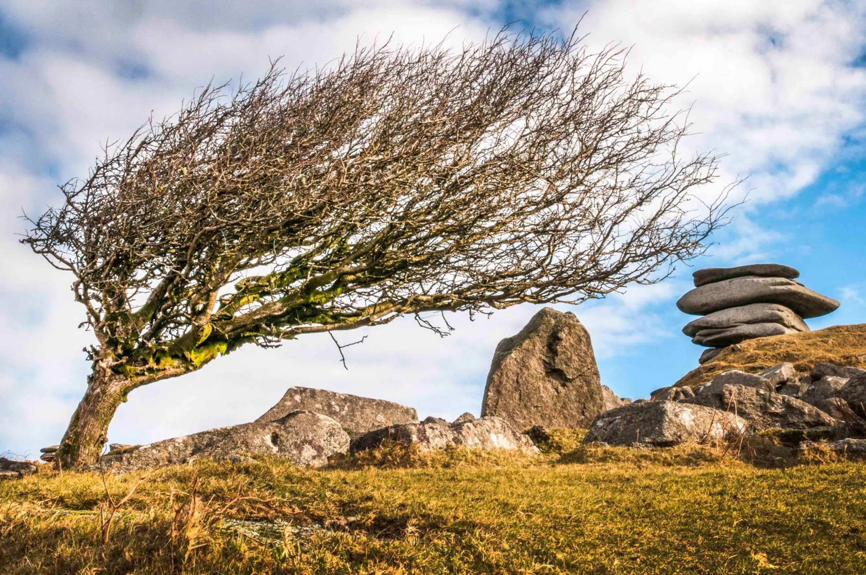 Smallholding Retreat