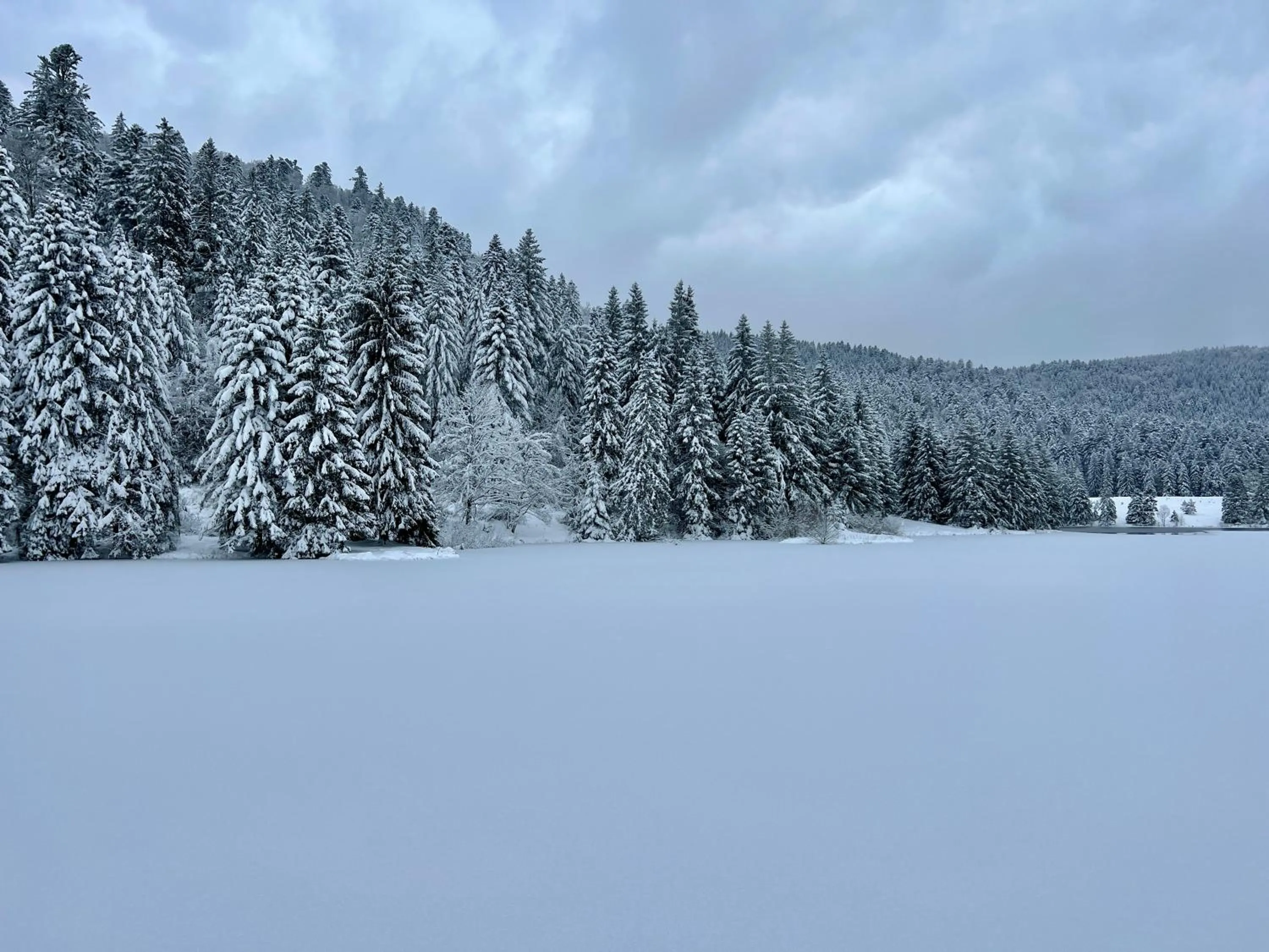 LOGIS HÔTEL, CHALETS et RESTAURANT LES CHATELMINÉS