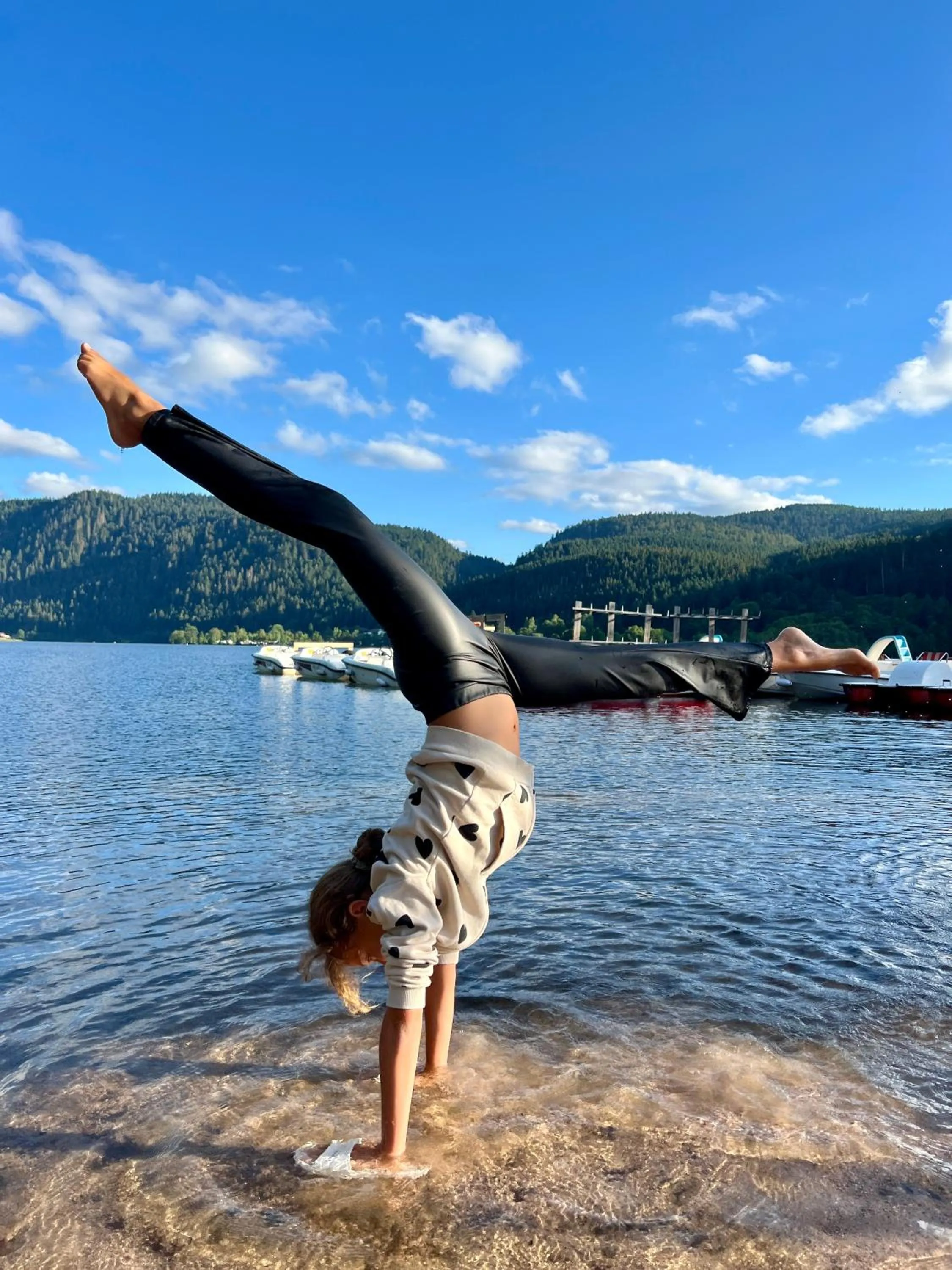 LOGIS HÔTEL, CHALETS et RESTAURANT LES CHATELMINÉS