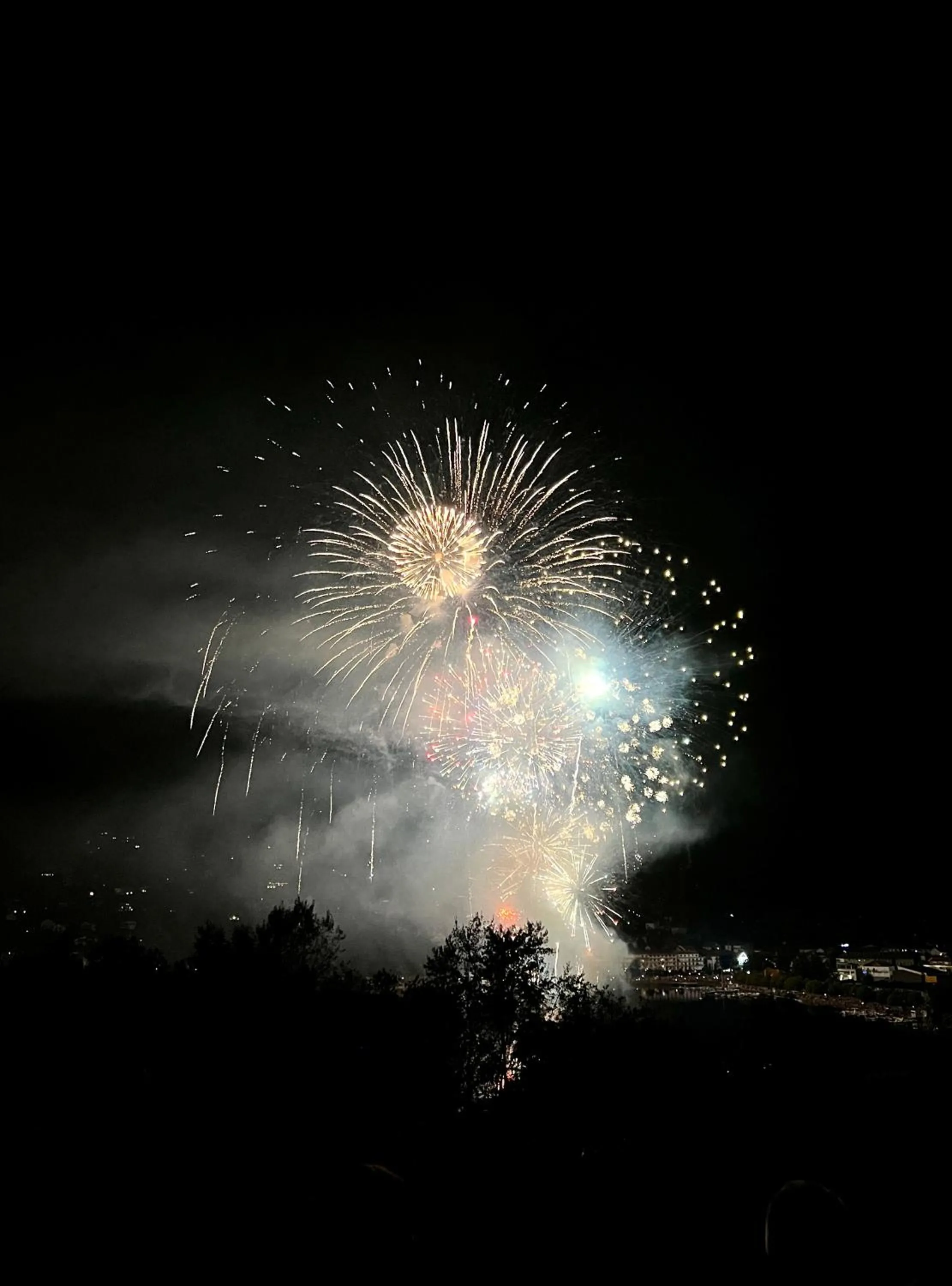LOGIS HÔTEL, CHALETS et RESTAURANT LES CHATELMINÉS