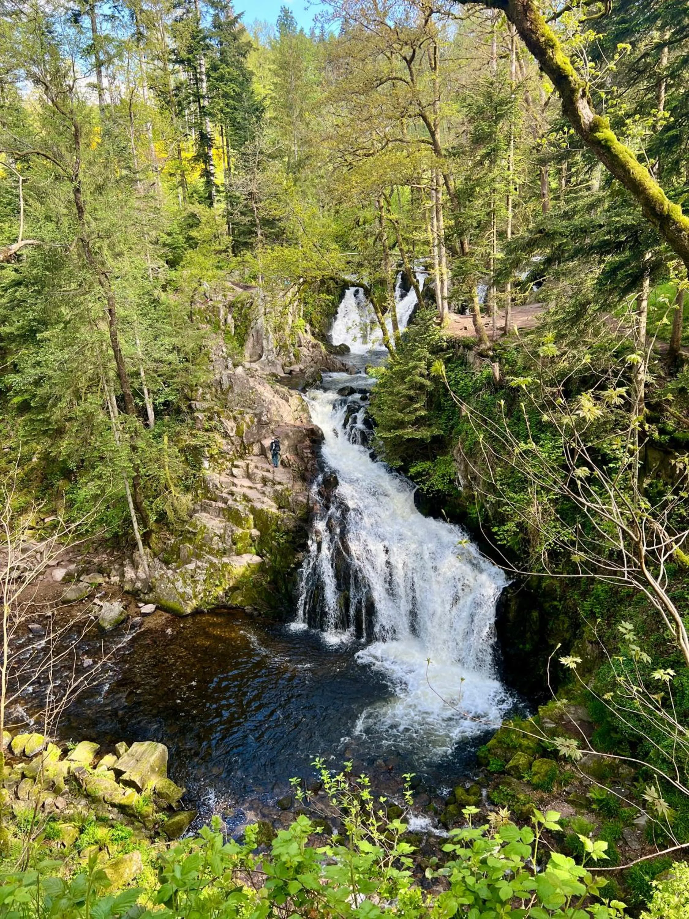 LOGIS HÔTEL, CHALETS et RESTAURANT LES CHATELMINÉS