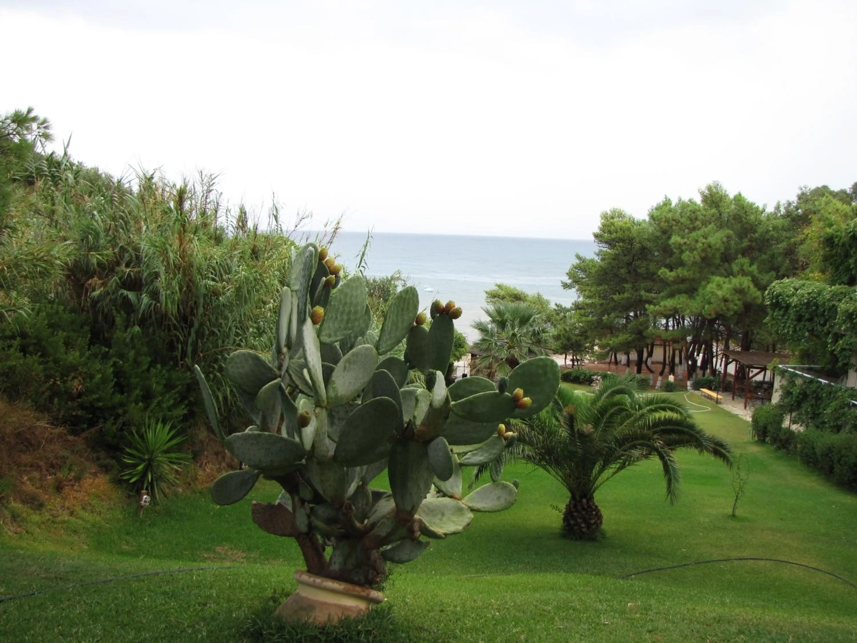 Garden view in Panas Hotel