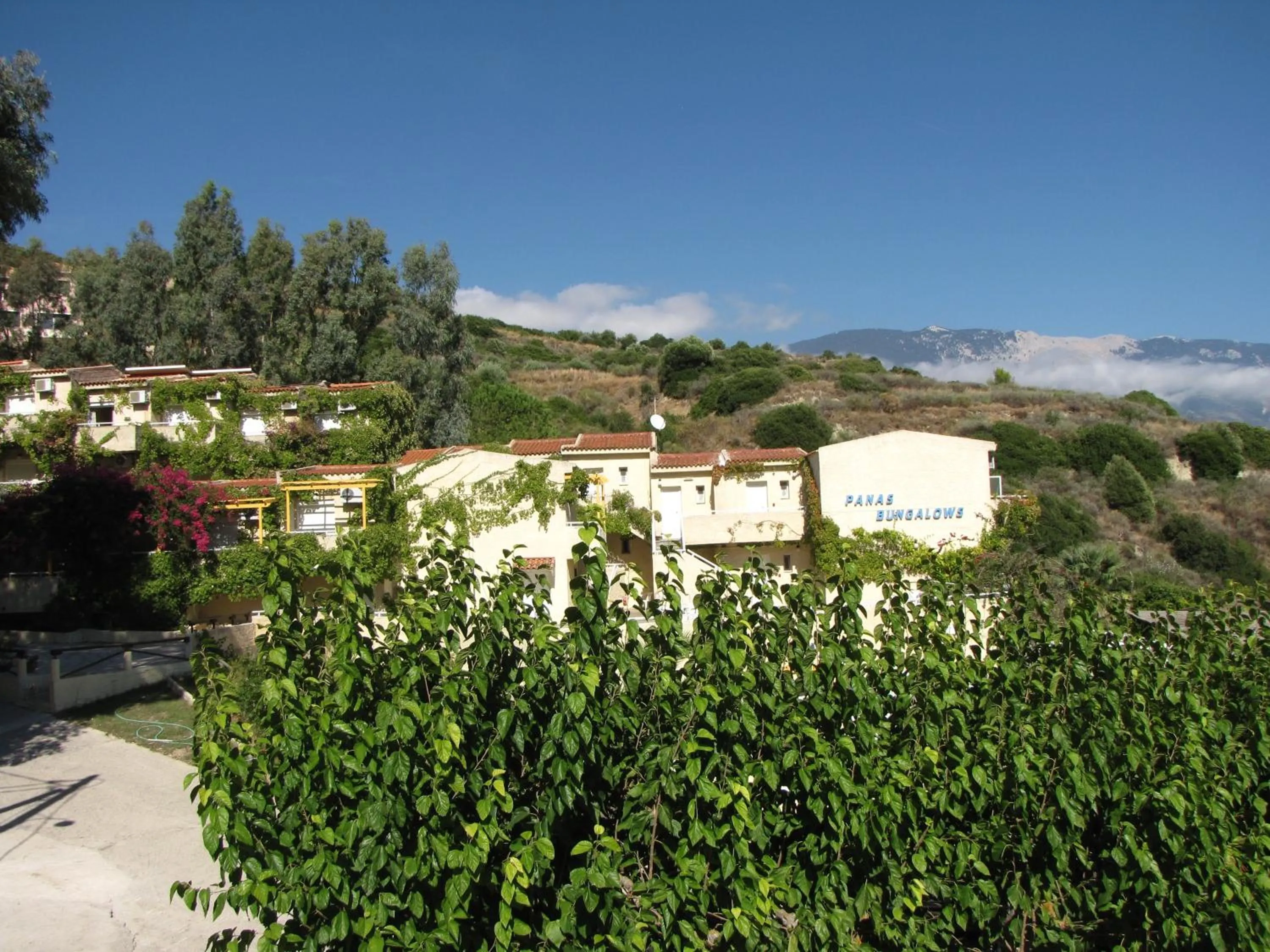 Area and facilities in Panas Hotel