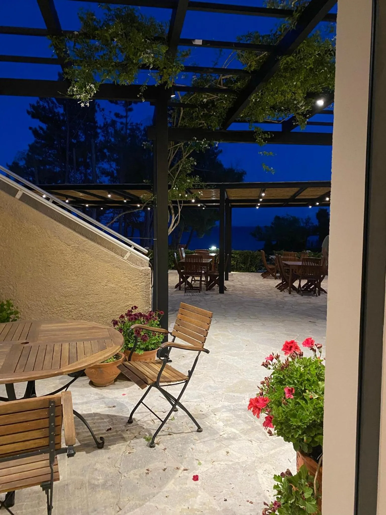 Restaurant/places to eat in Panas Hotel