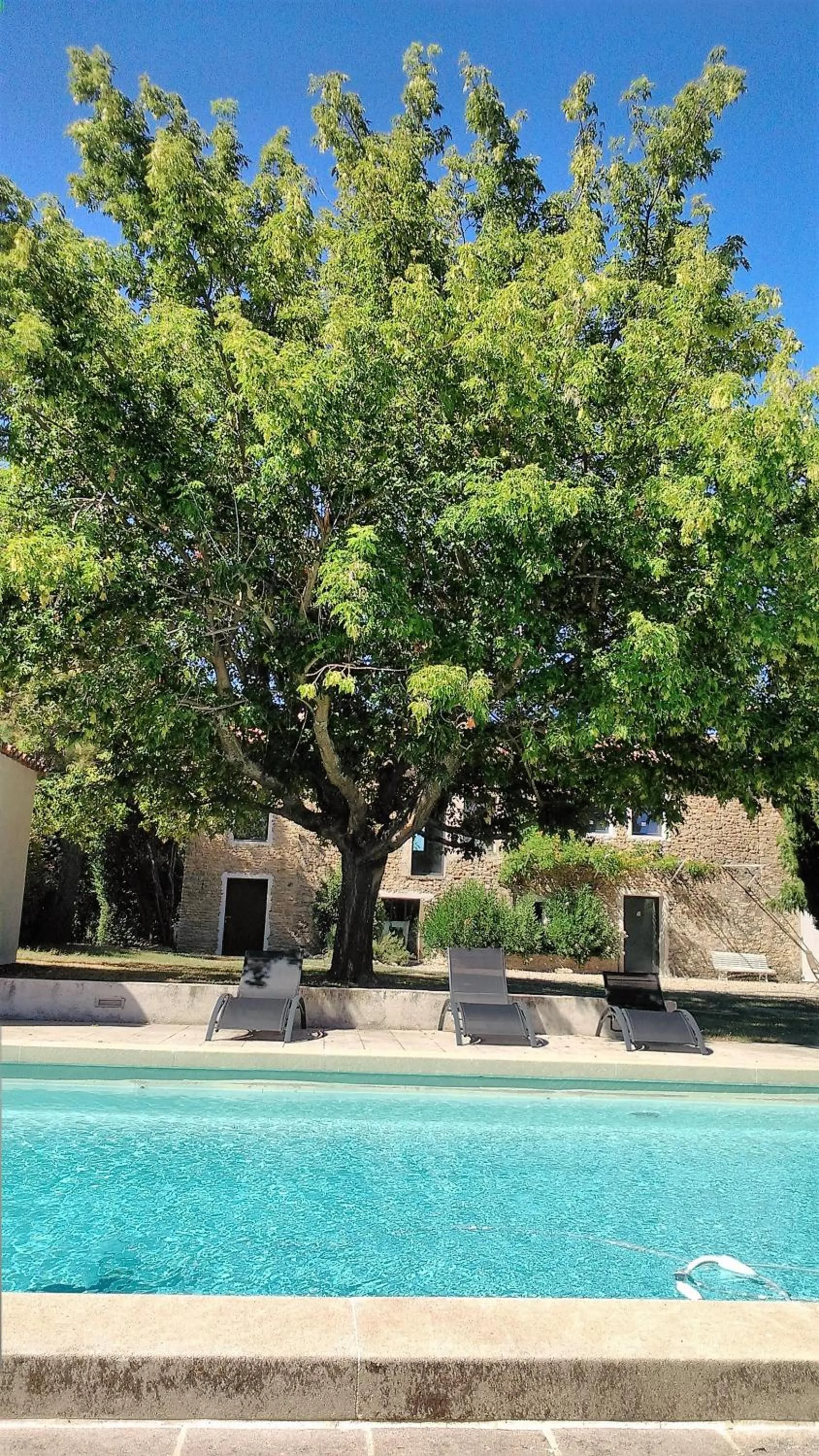 Swimming pool in le mas de colongene