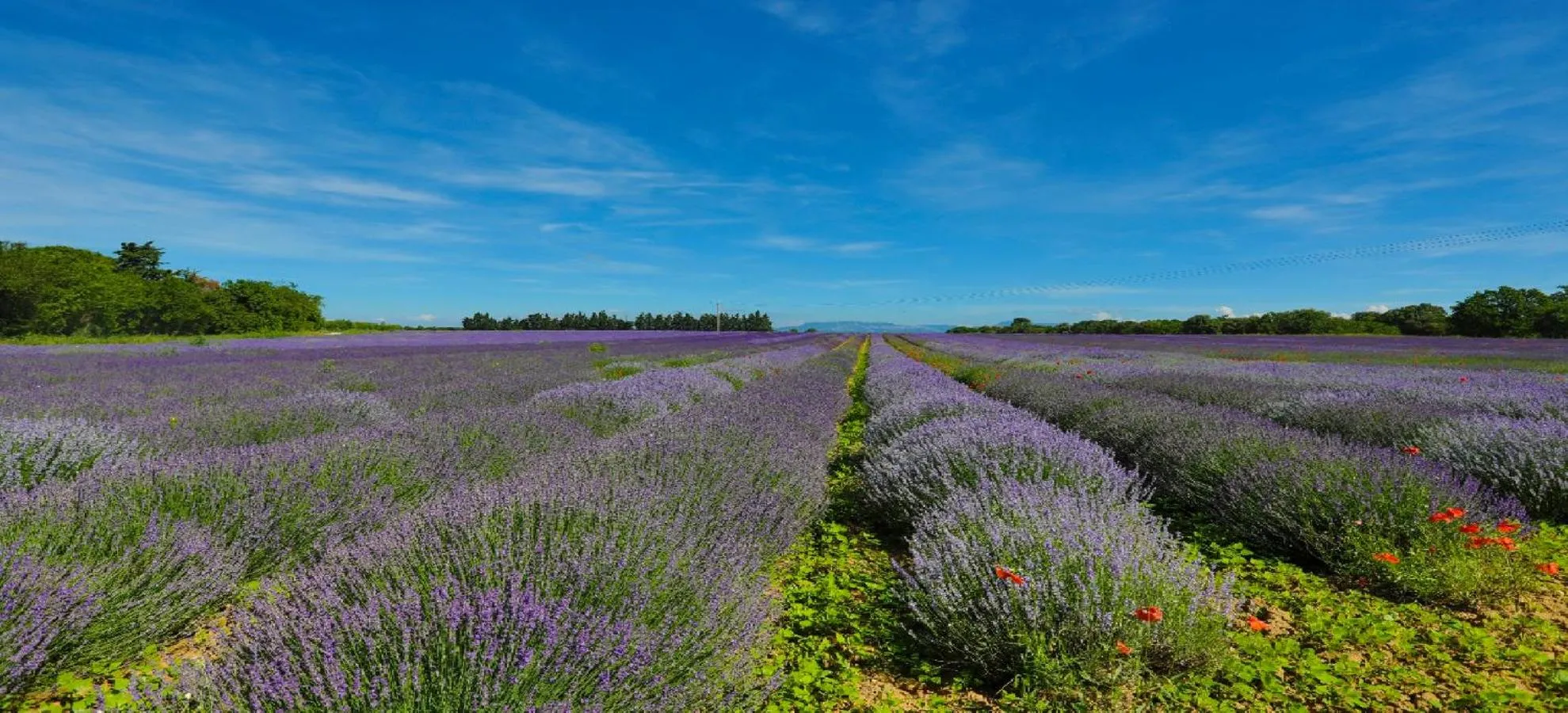Nearby landmark in le mas de colongene