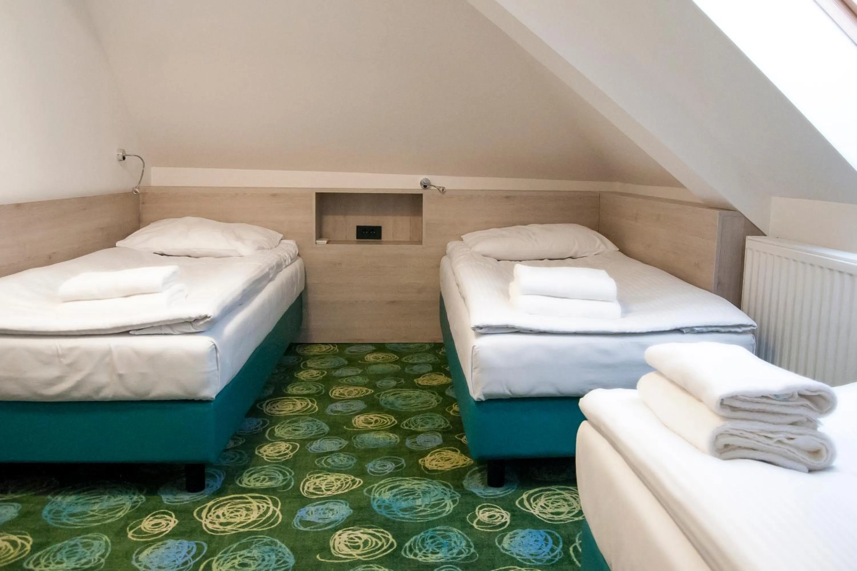 Triple Room with Shared Bathroom - single occupancy in Hotel Center Novo Mesto