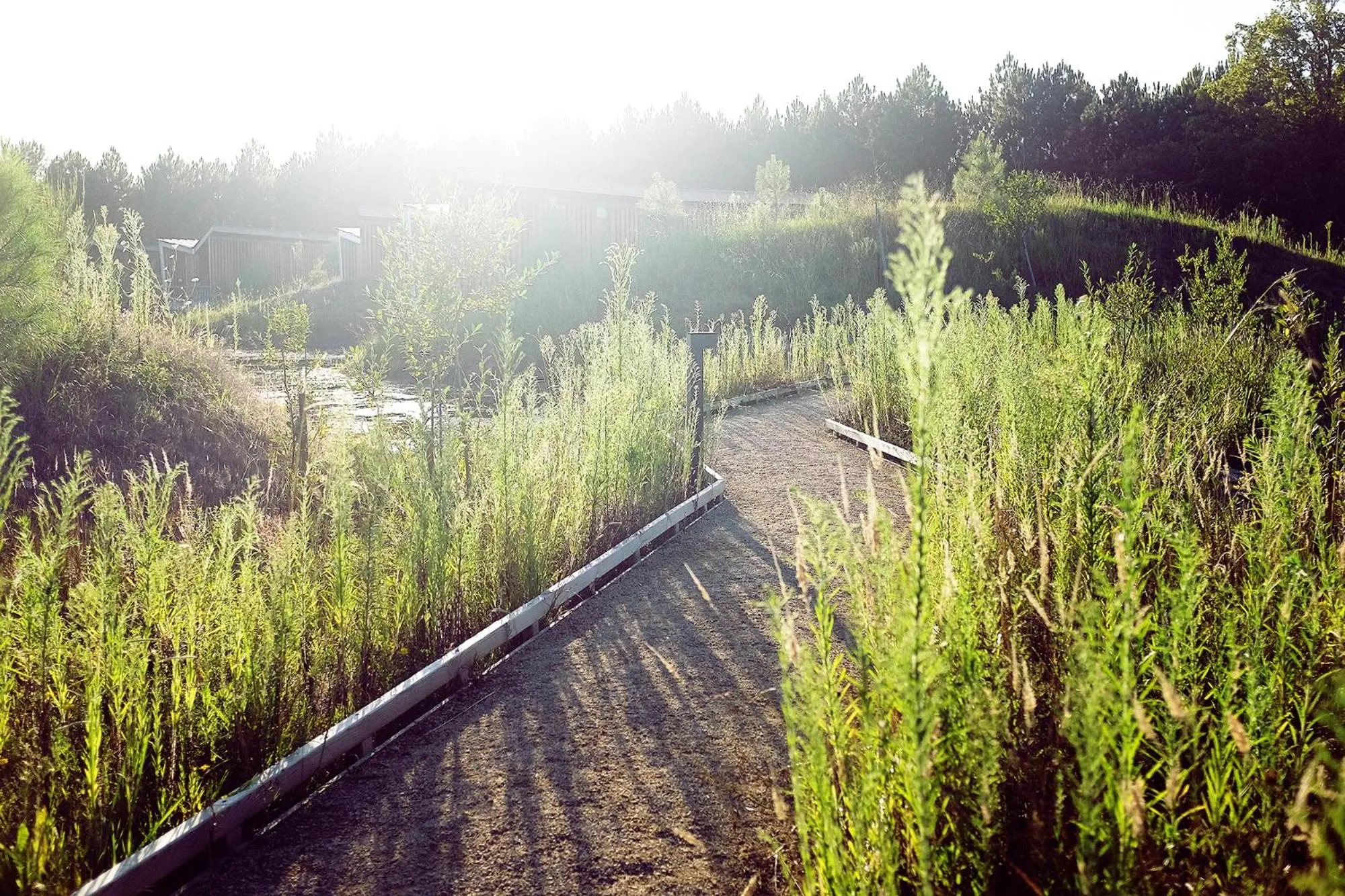 Garden in Les Échasses Golf & Surf Eco Lodge