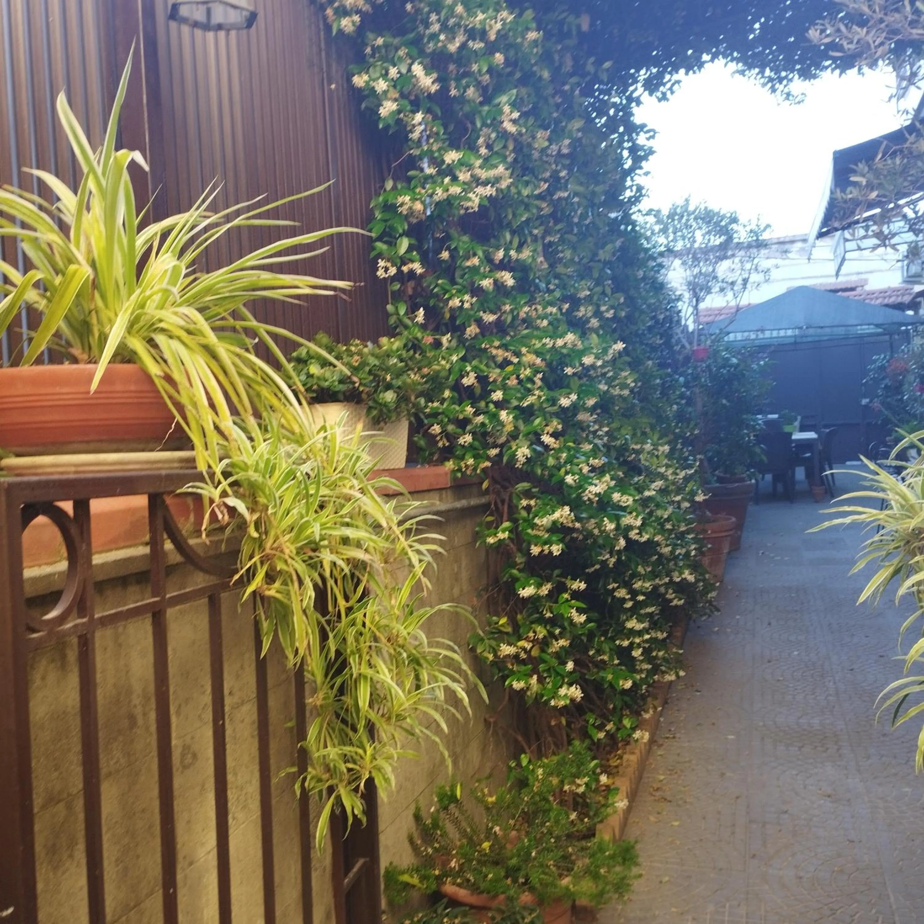 Garden in Home To Fly