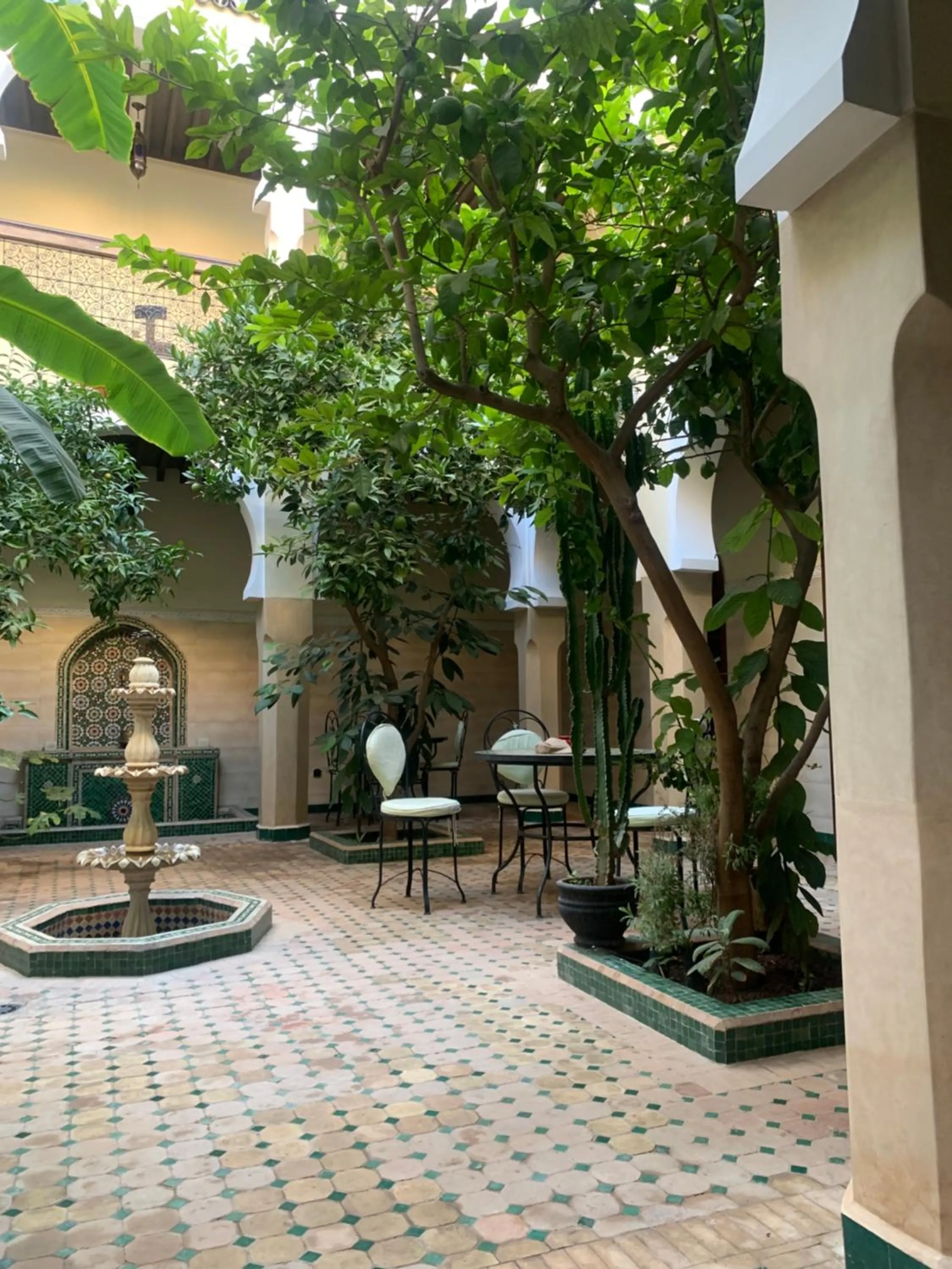 Riad Tidar by Phoenix