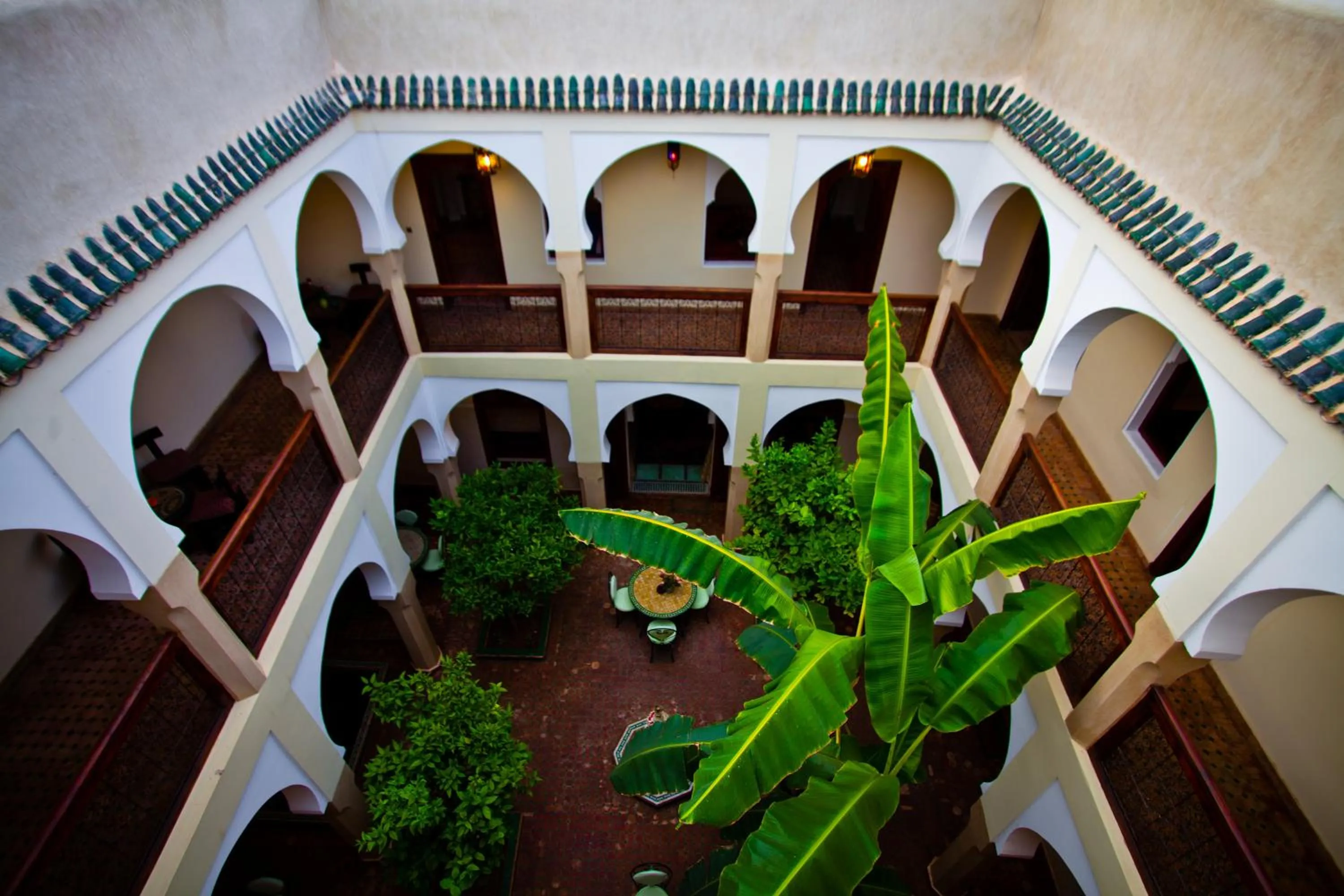 Riad Tidar by Phoenix