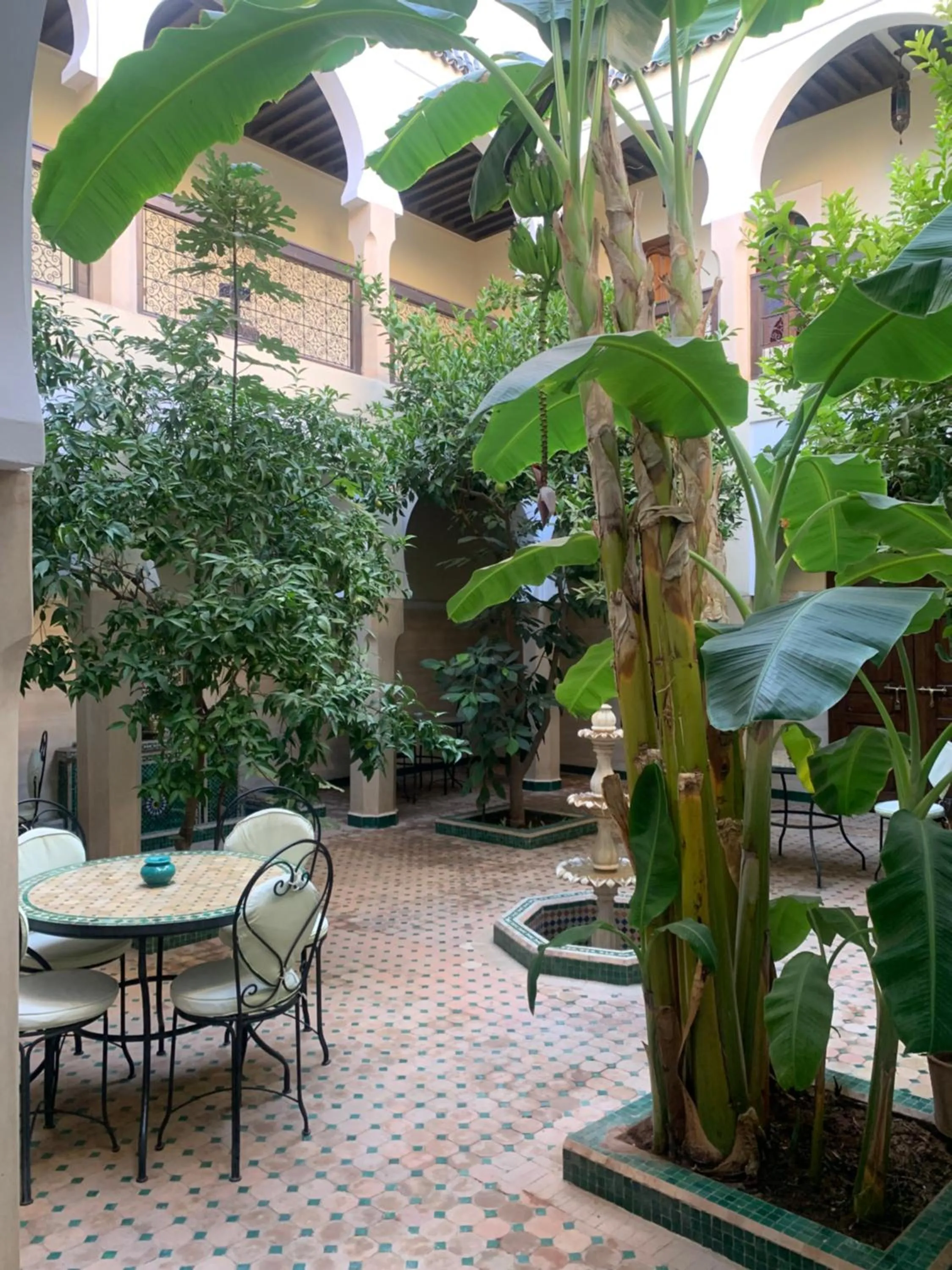 Riad Tidar by Phoenix